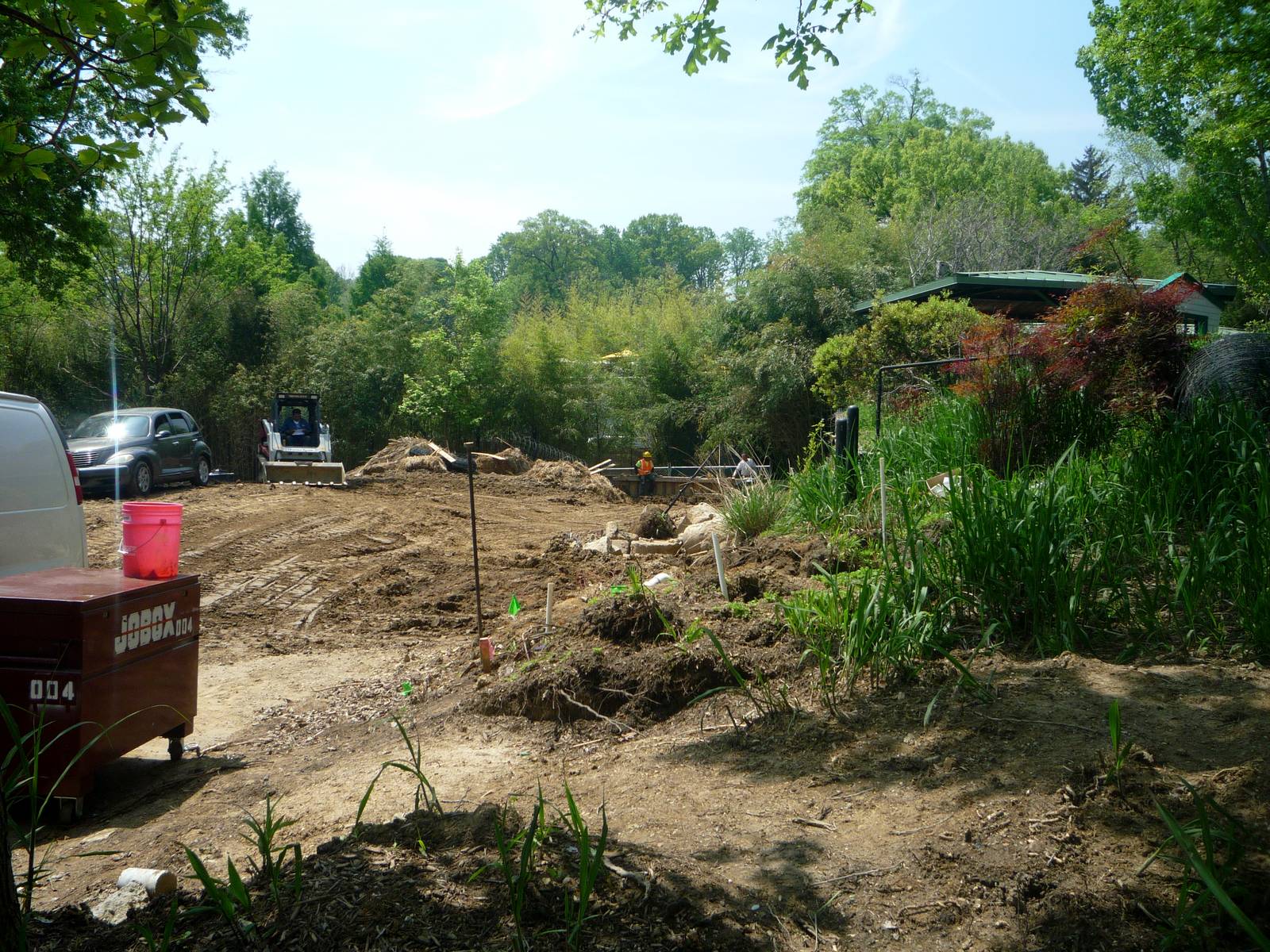 Bison Exhibit in Construction