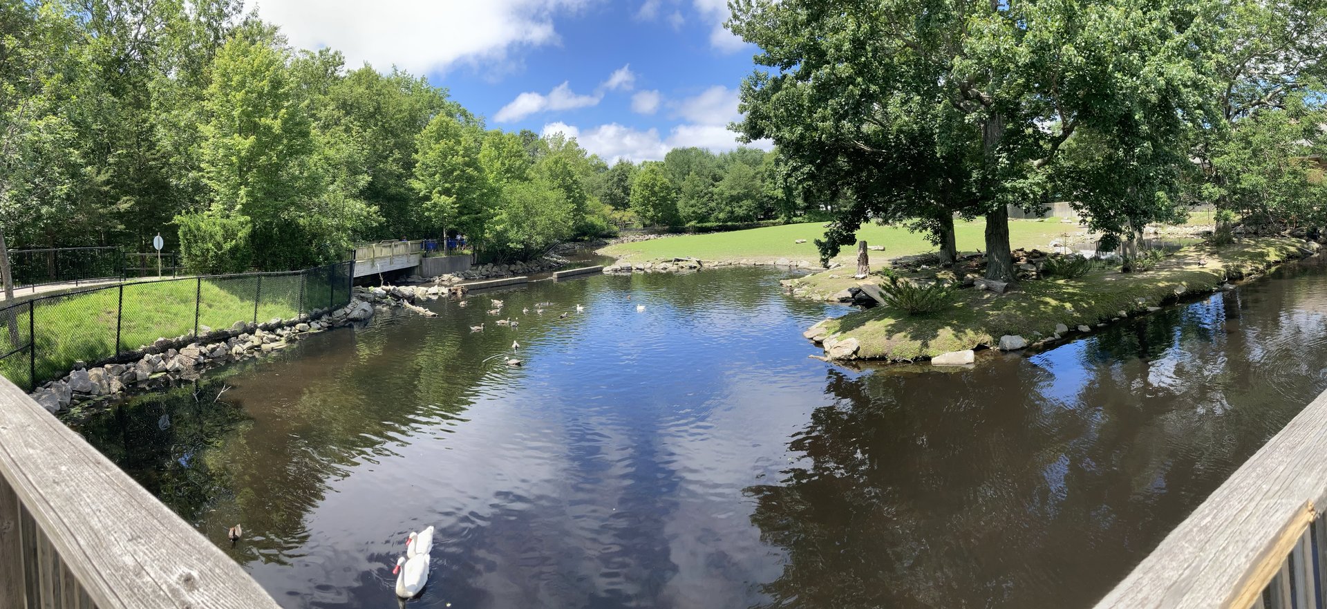 Bison Exhibit Panorama (July 7th)