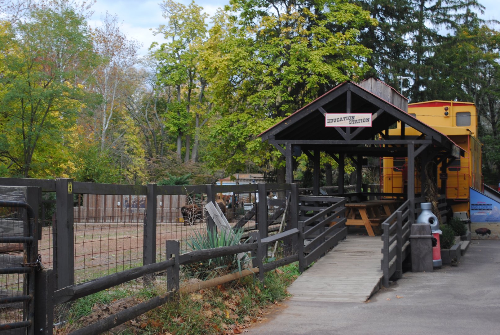 Bison Exhibit (Viewing Area)