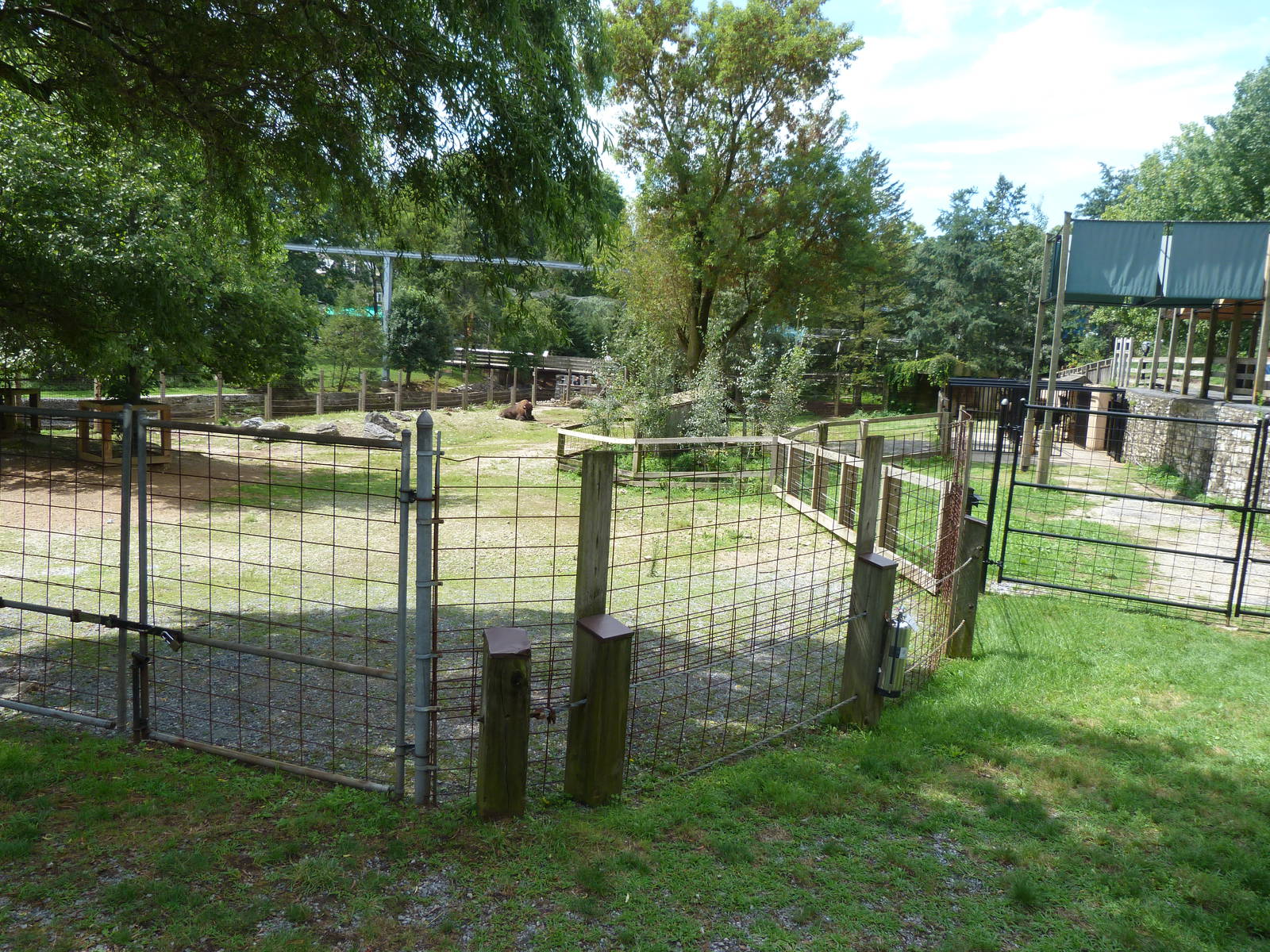 Bison Exhibit