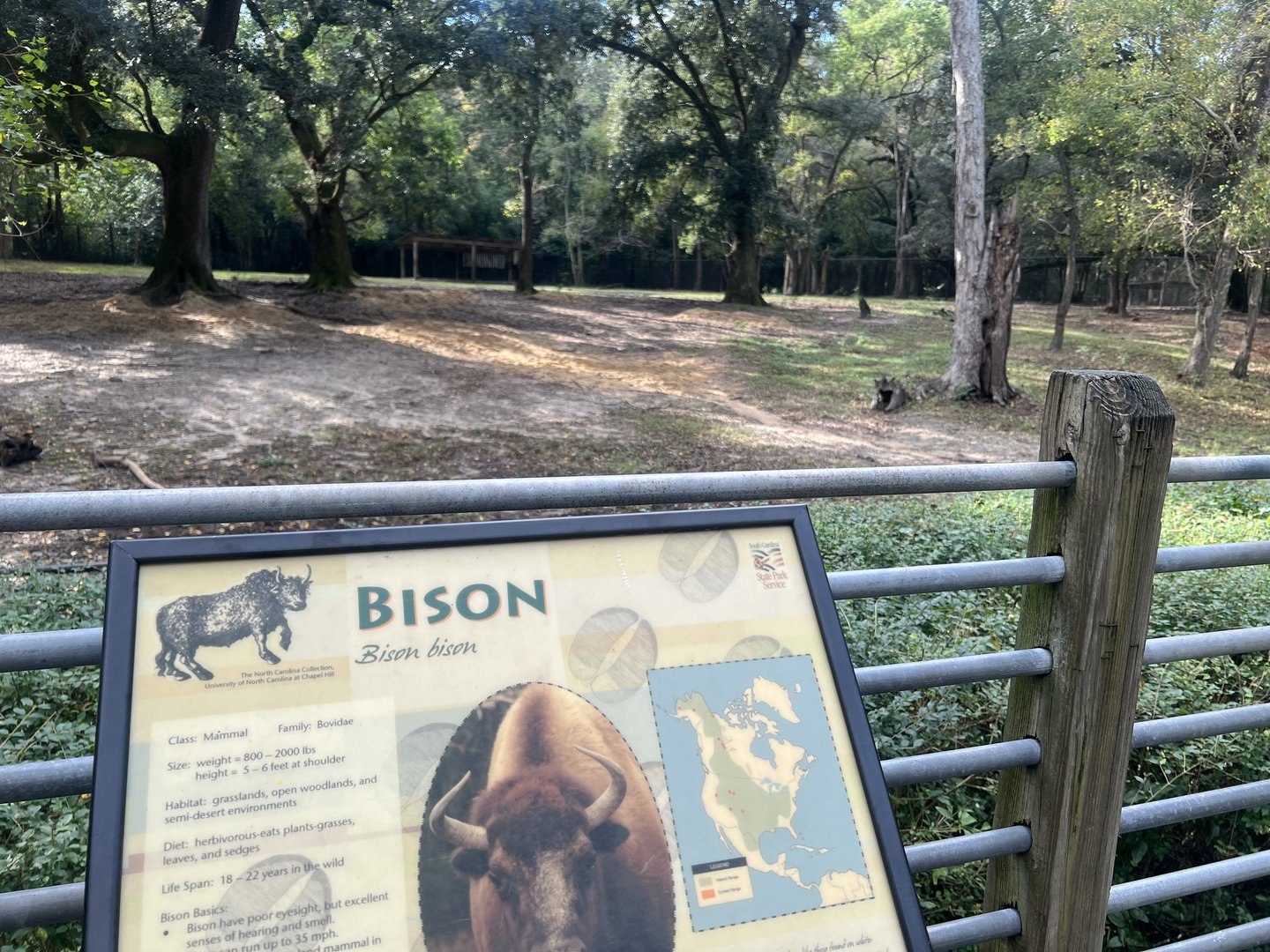 Bison Exhibit