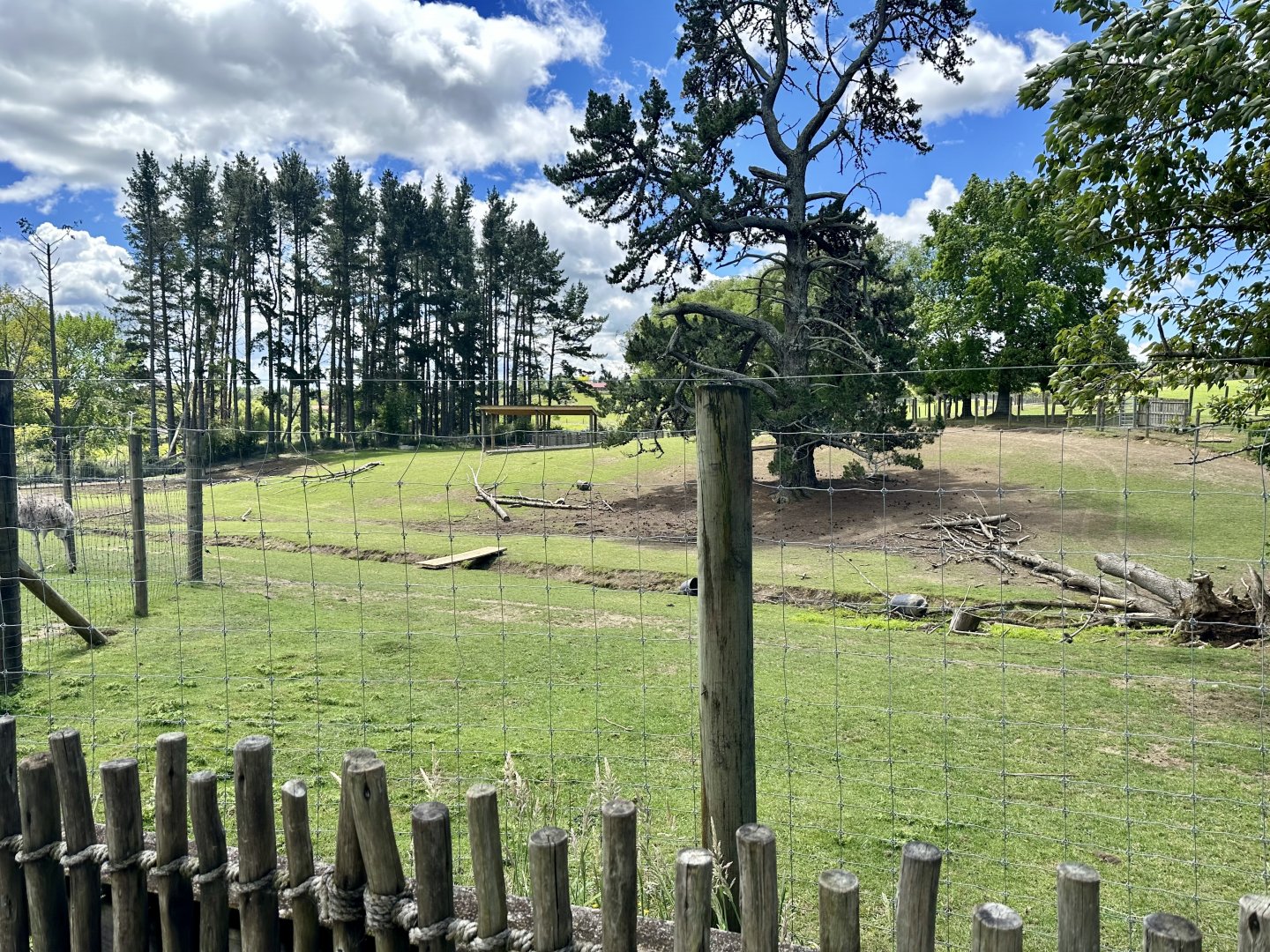 Bison Exhibit