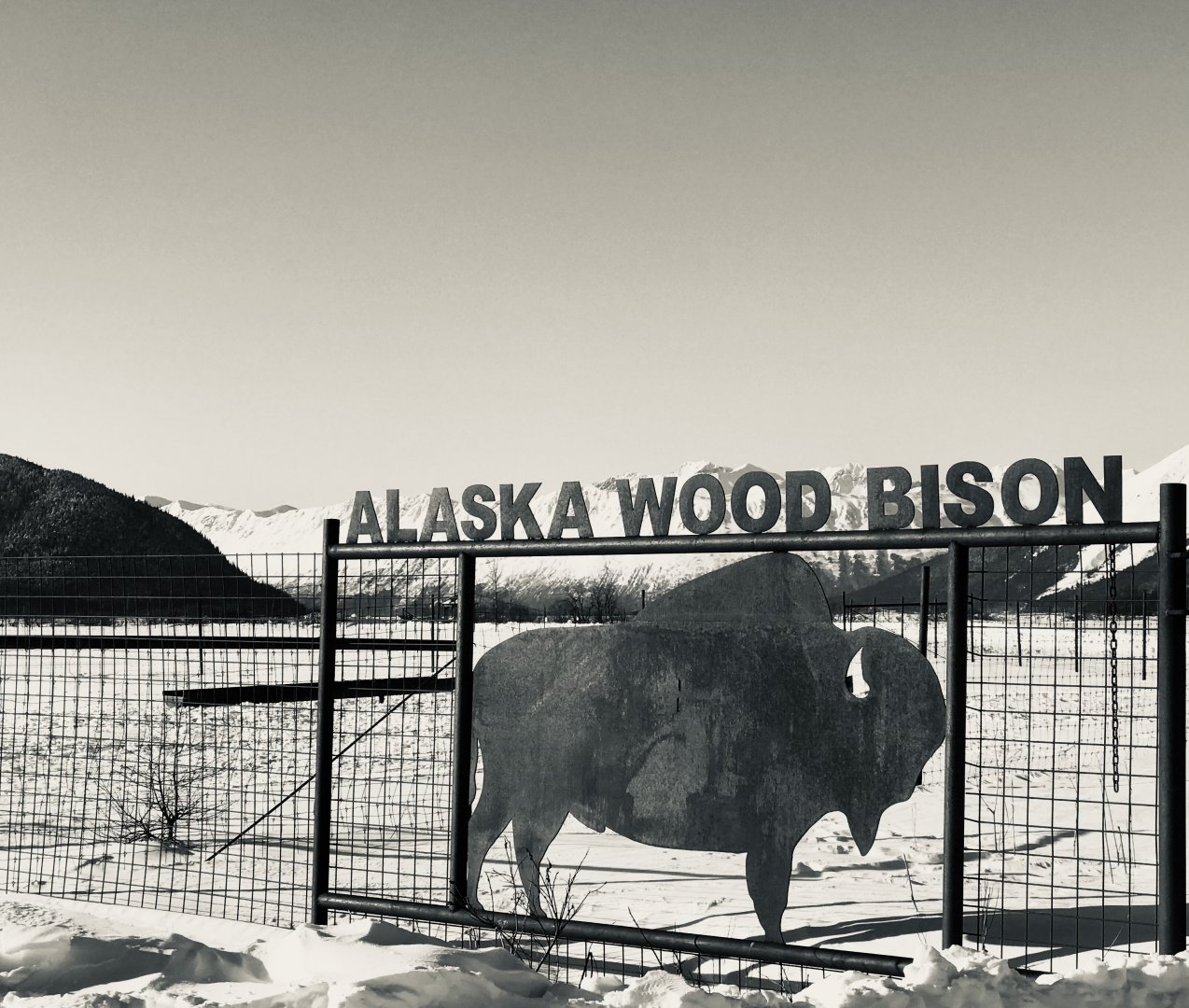 Bison Gate
