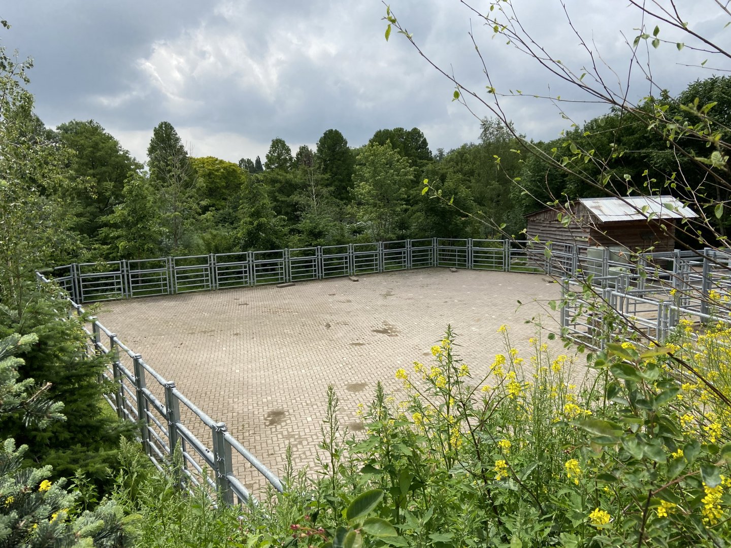 Bison holding area as seen from new path