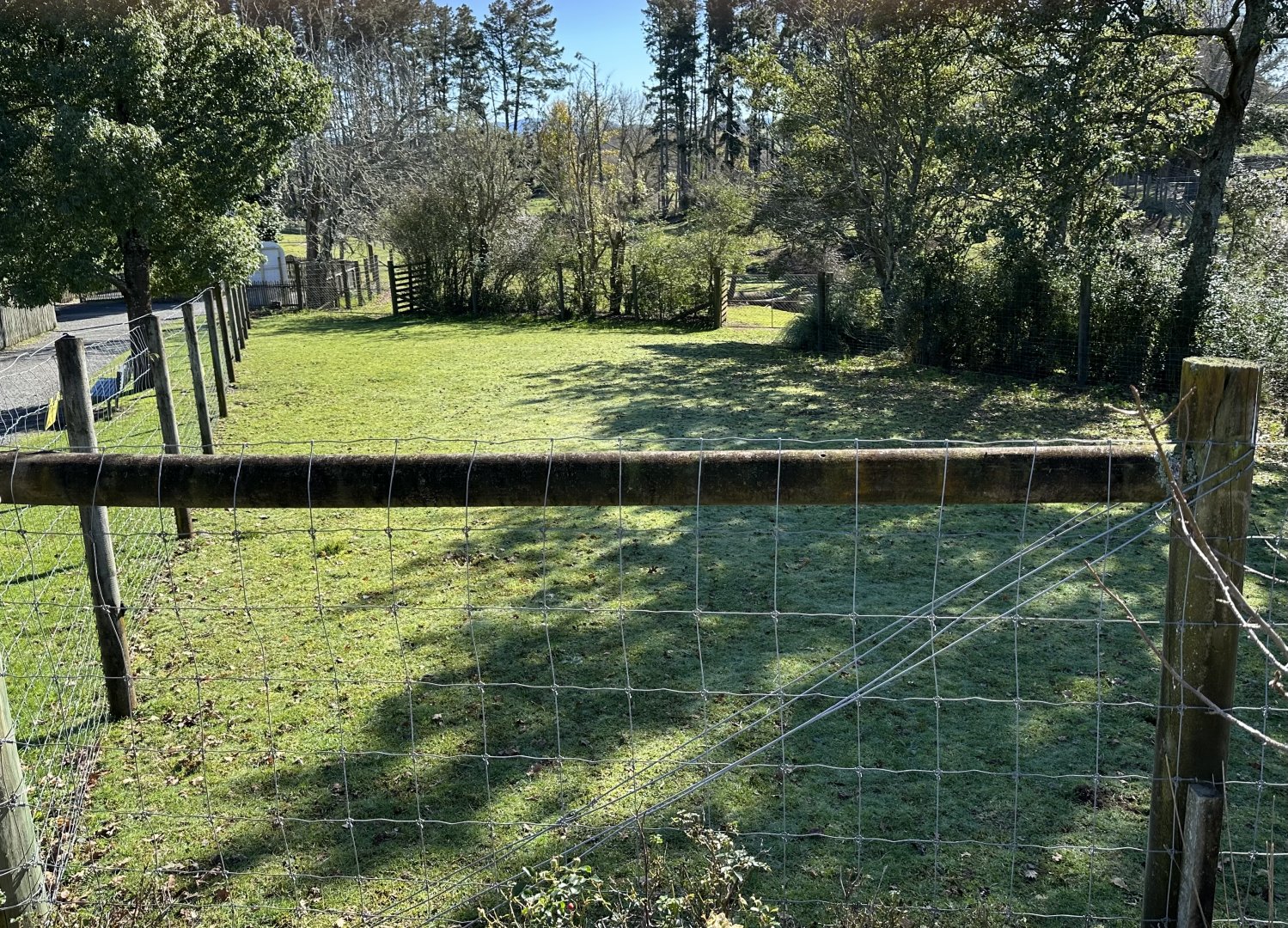 Bison Holding Exhibit