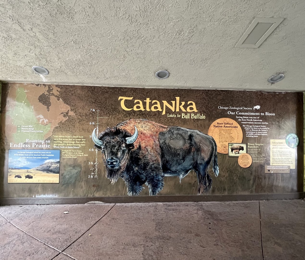 Bison Information Sign