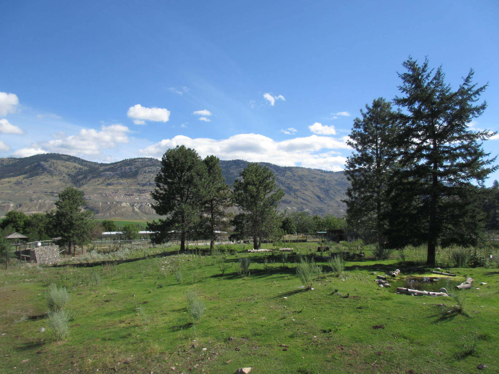 Bison/Mule Deer Exhibit