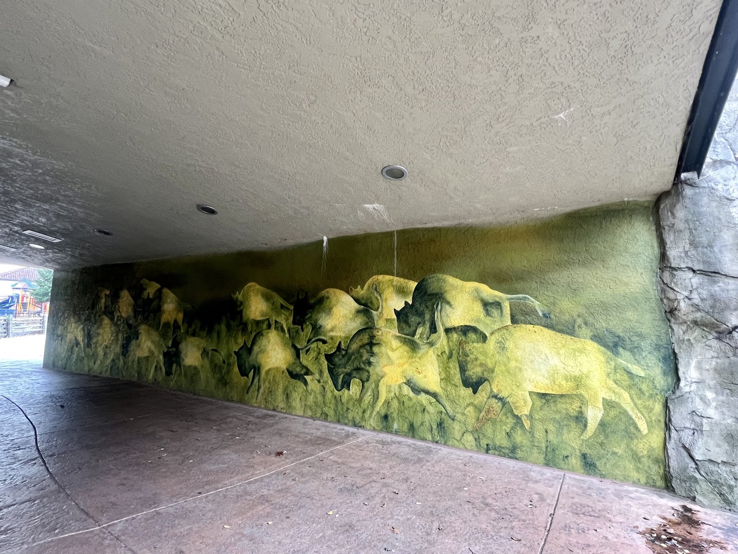 Bison Mural