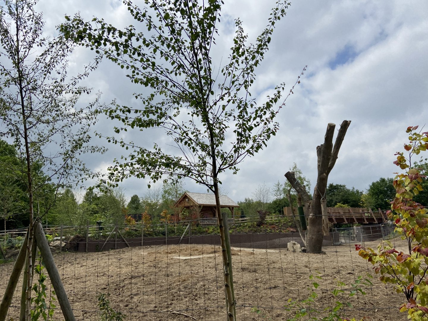 Bison paddock and new path