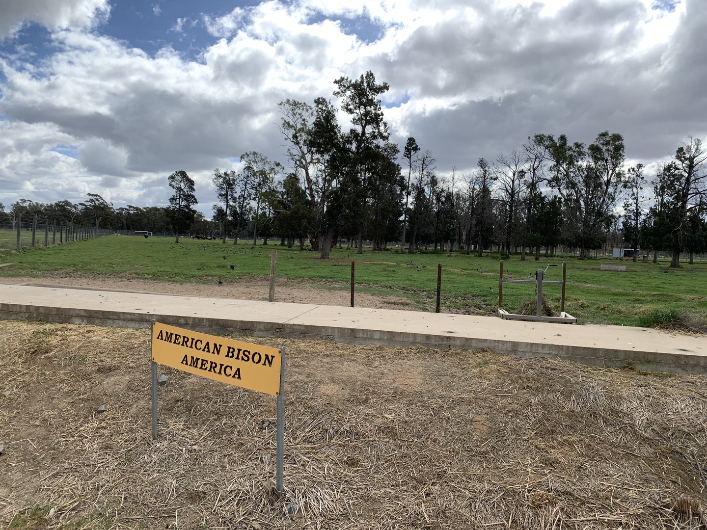 Bison Paddock