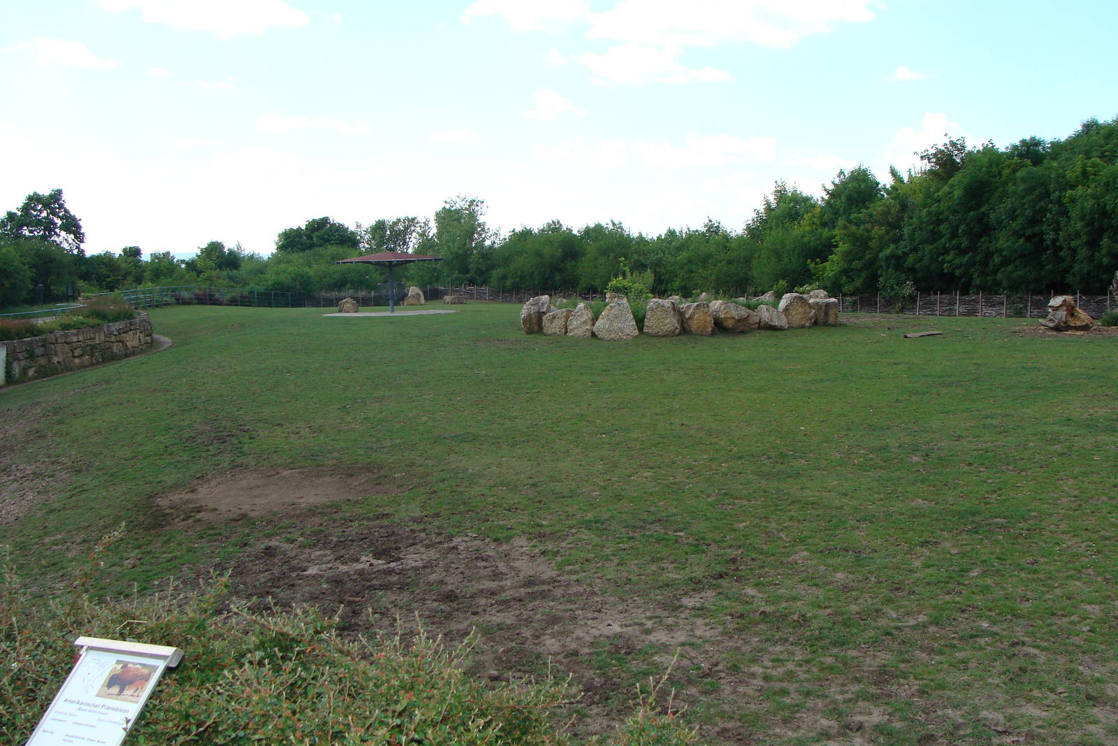 Bison Plains