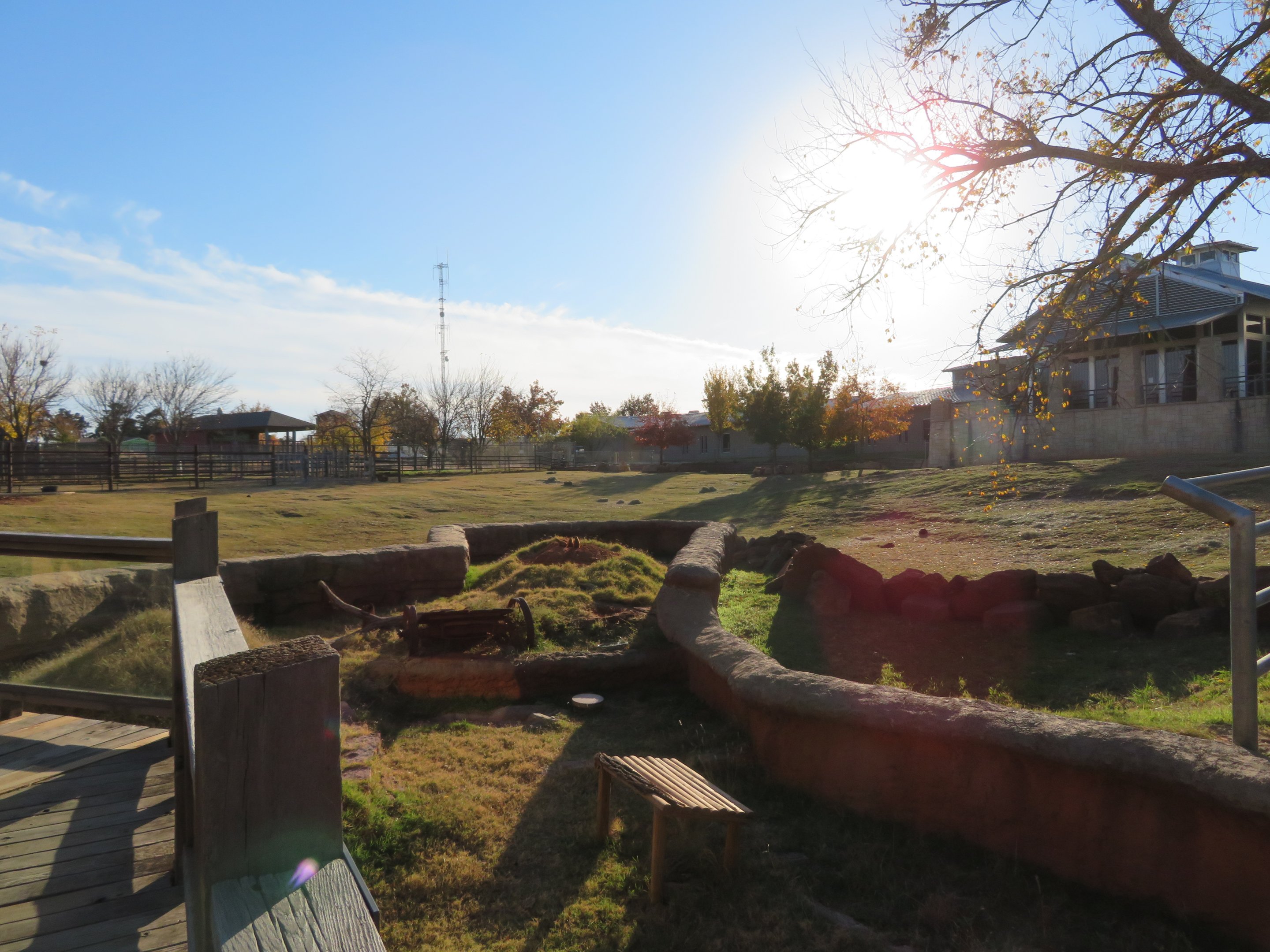 Bison/Prairie Dog Exhibits