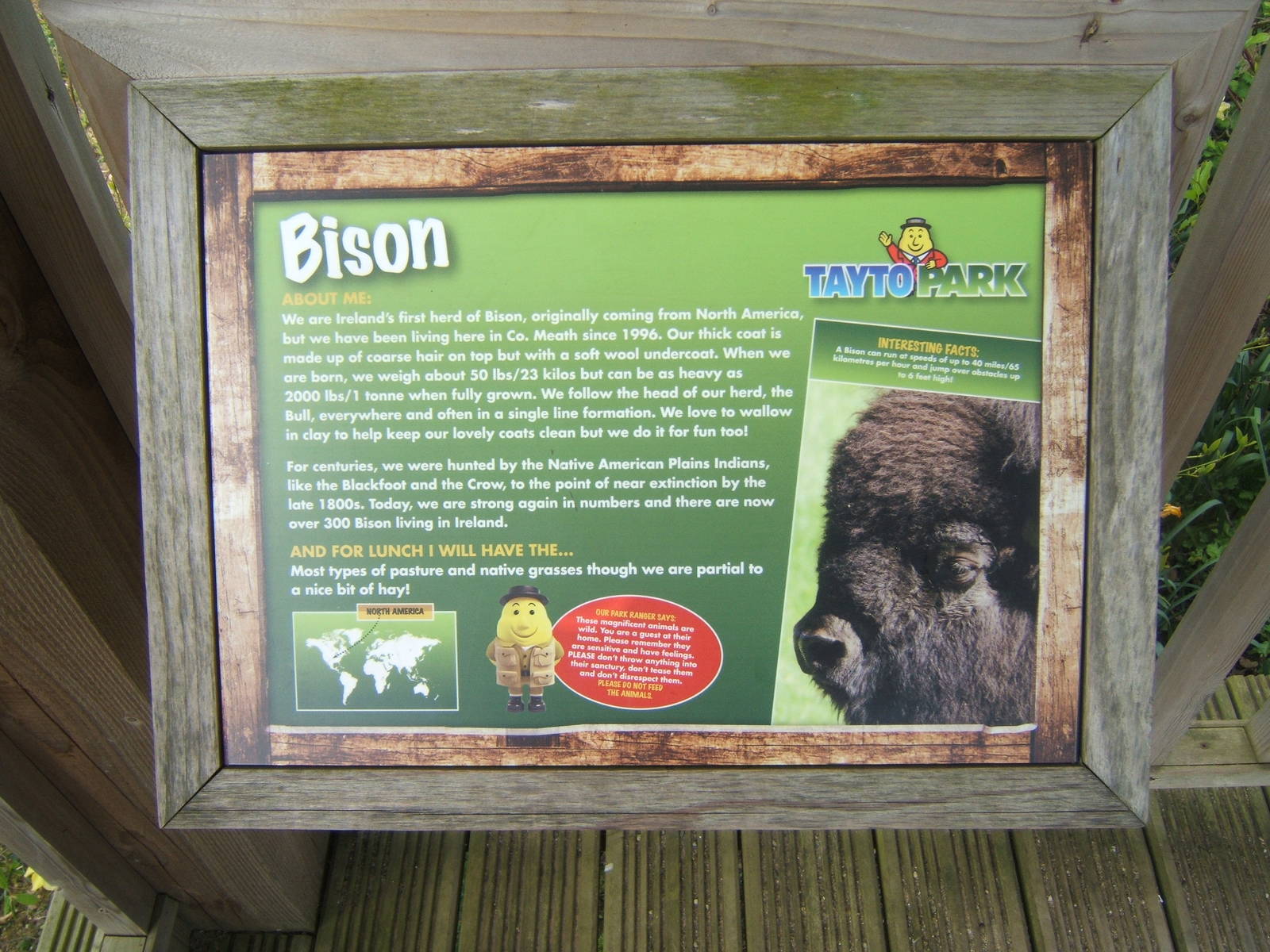Bison sign