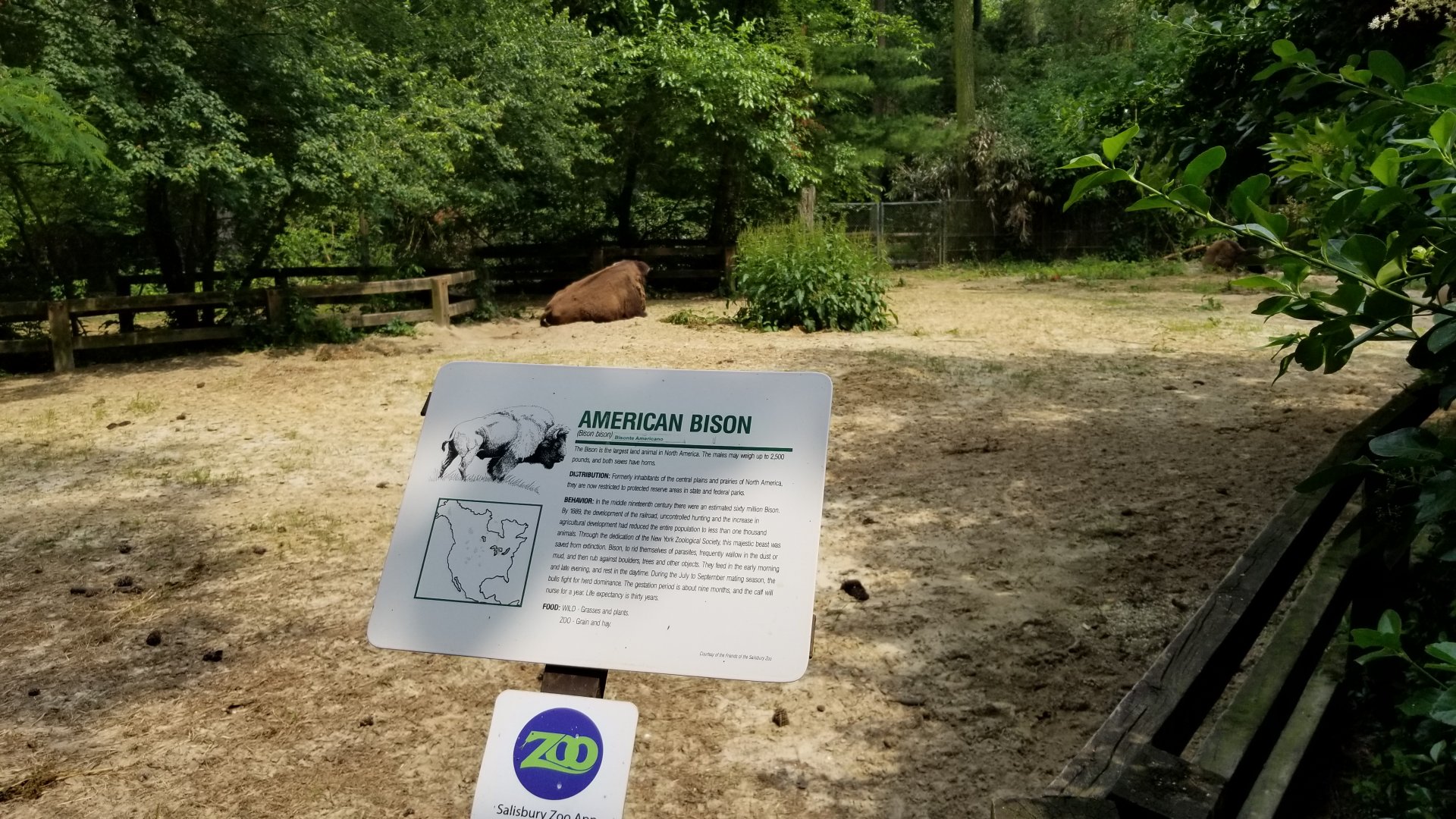 Bison sign