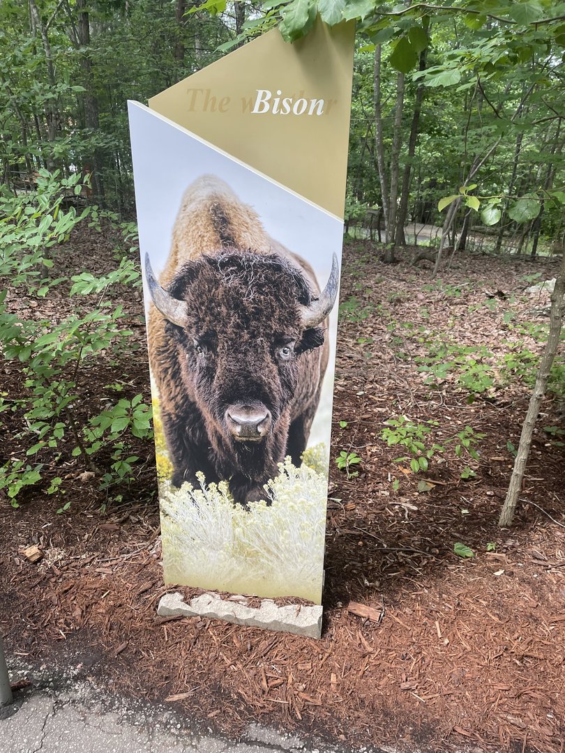 Bison Signage