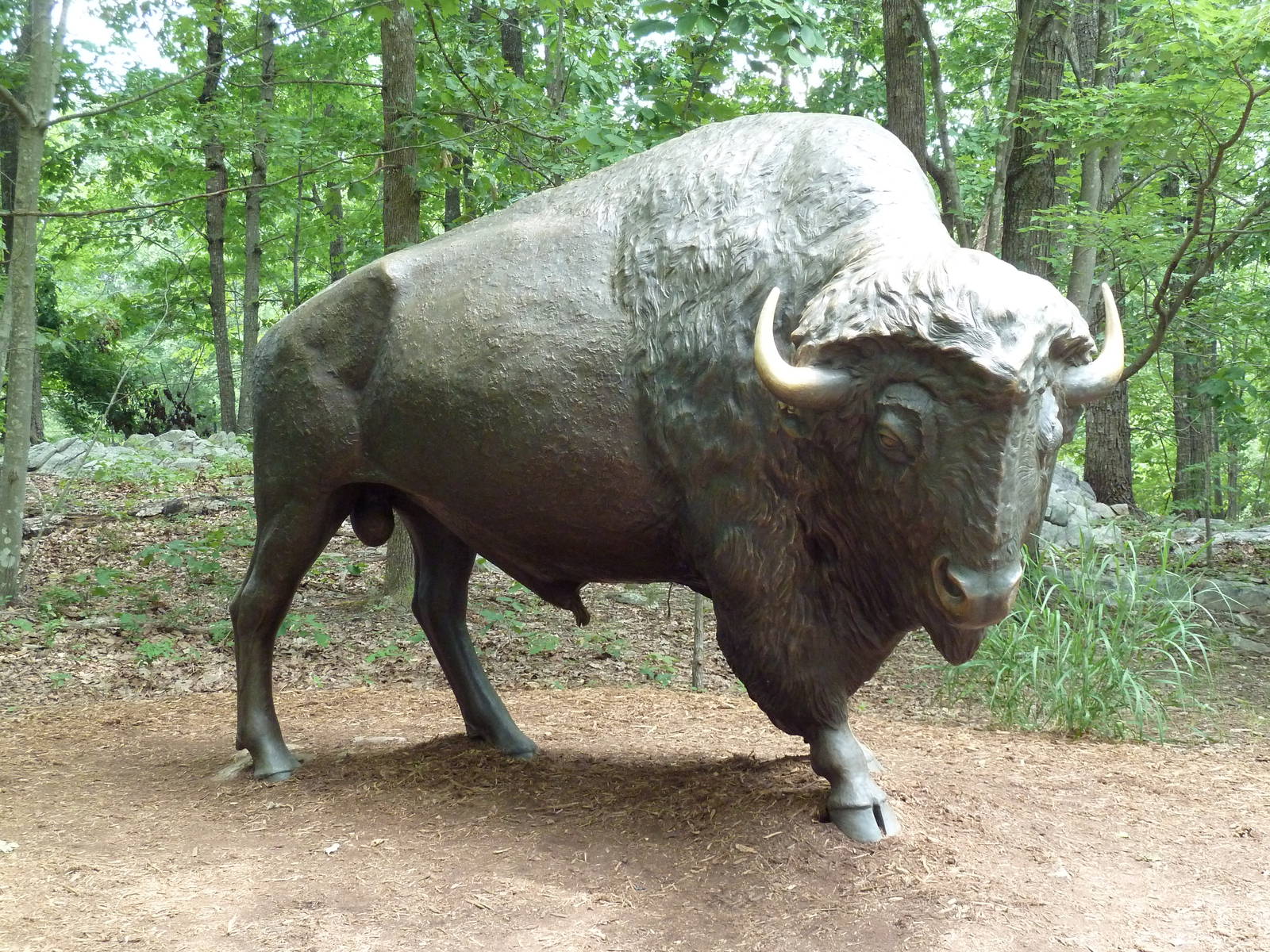 Bison Statue
