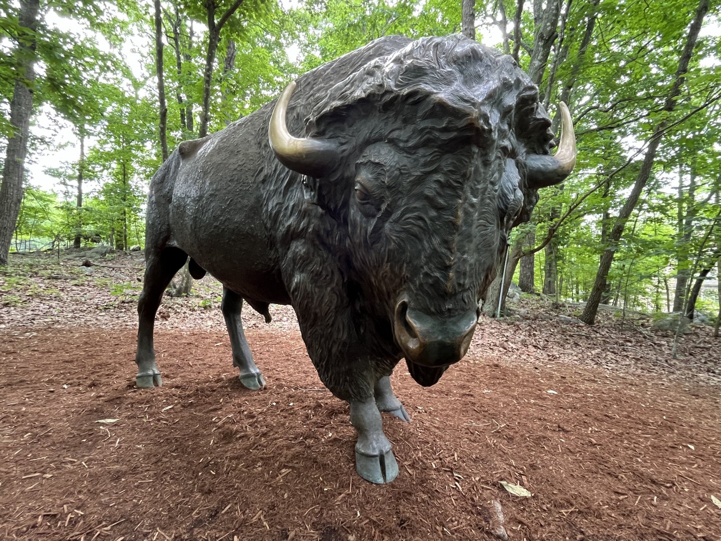 Bison Statue