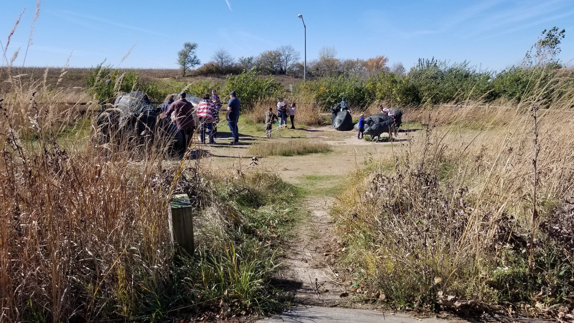 Bison statues for climbing
