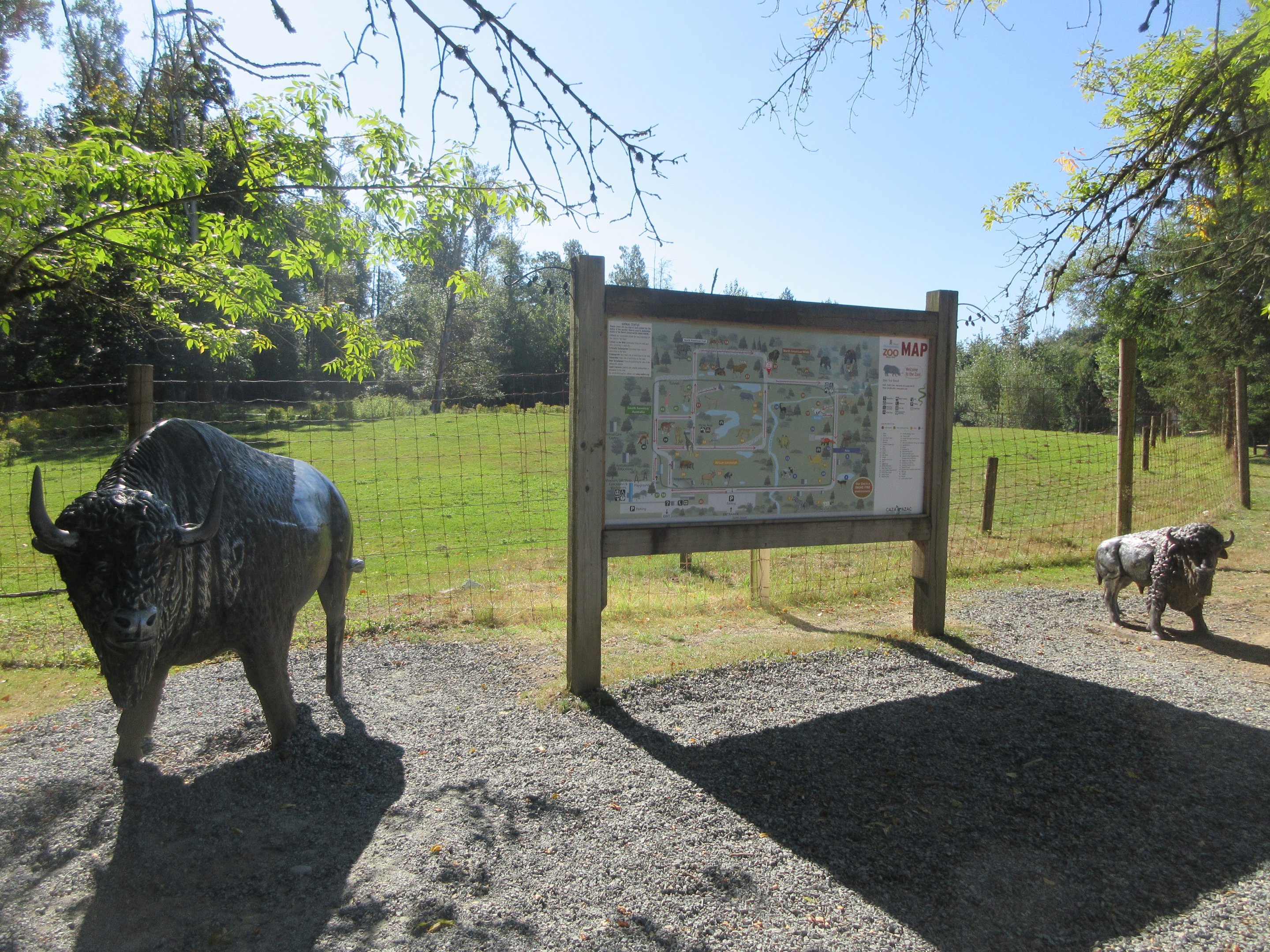 Bison Statues