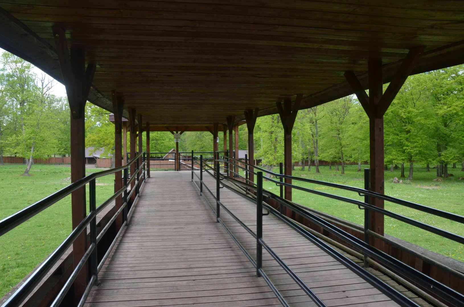 Bison Viewing Area at Rezerwat Pokazowy Żubrów, Białowieża 07/05/19