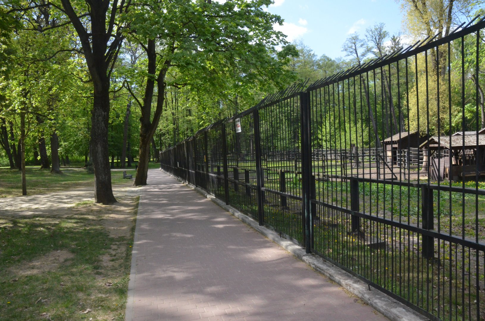 Bison Viewing from Perimeter Fence at Akcent Zoo Białystok, 08/05/19