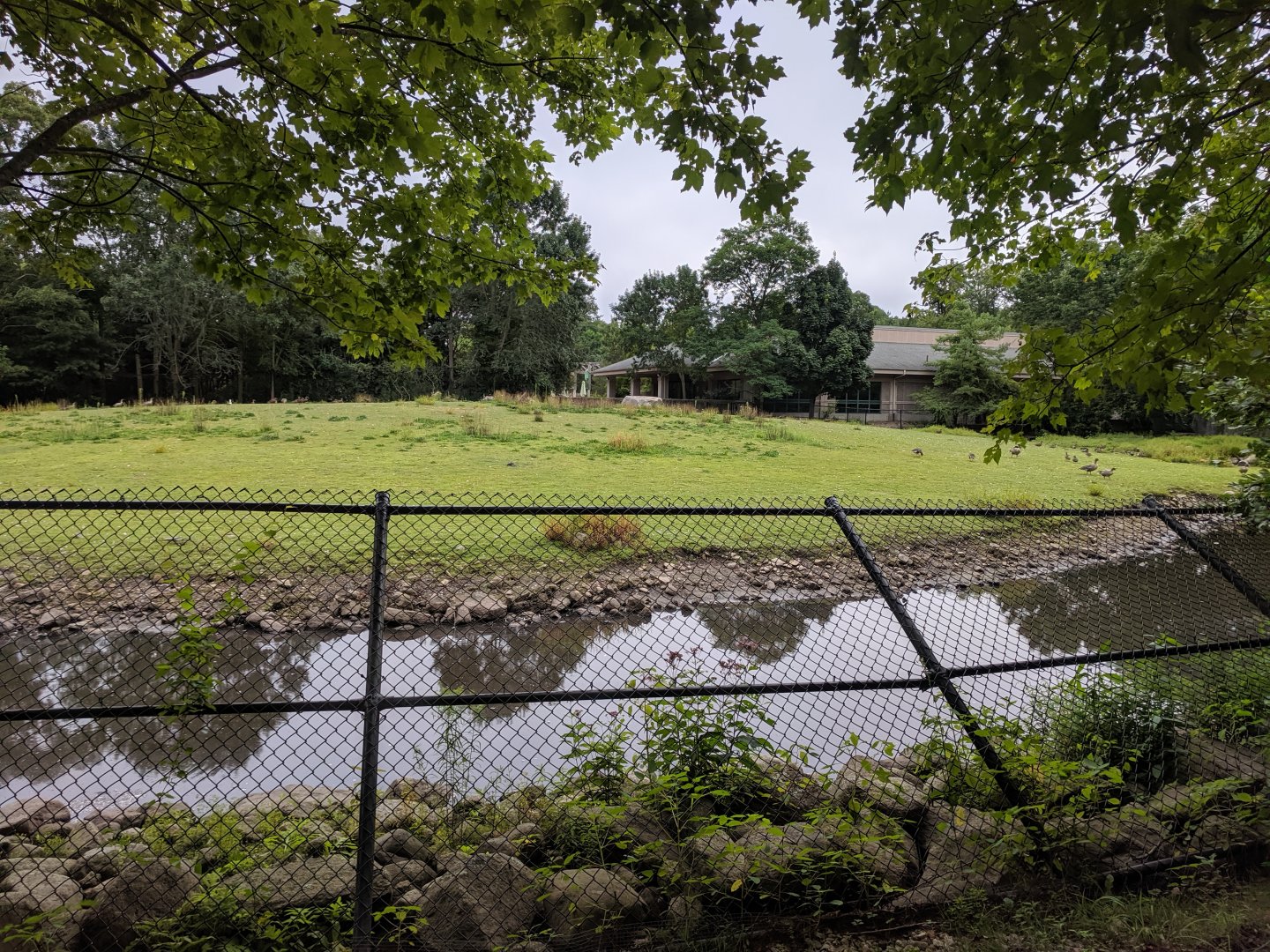 Bison/Waterfowl Exhibit