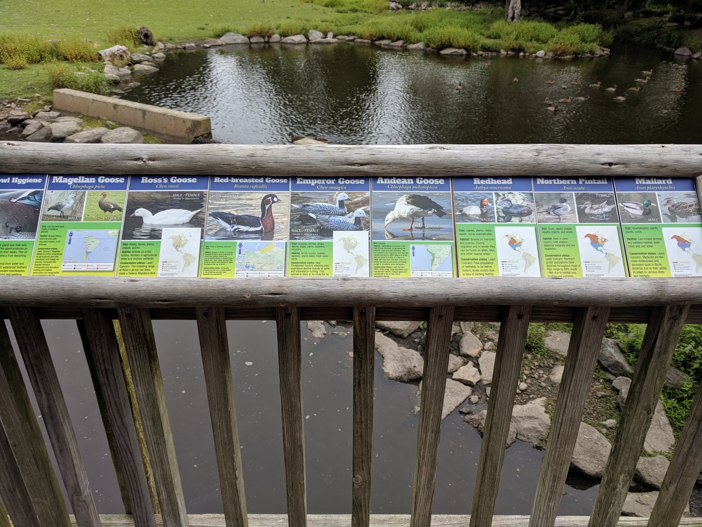 Bison/Waterfowl Exhibit