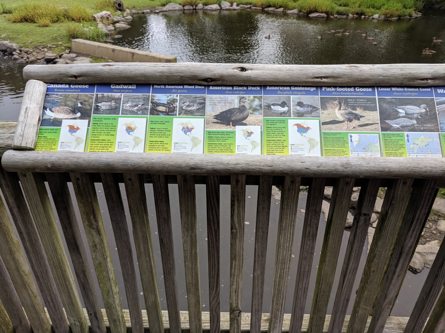 Bison/Waterfowl Exhibit