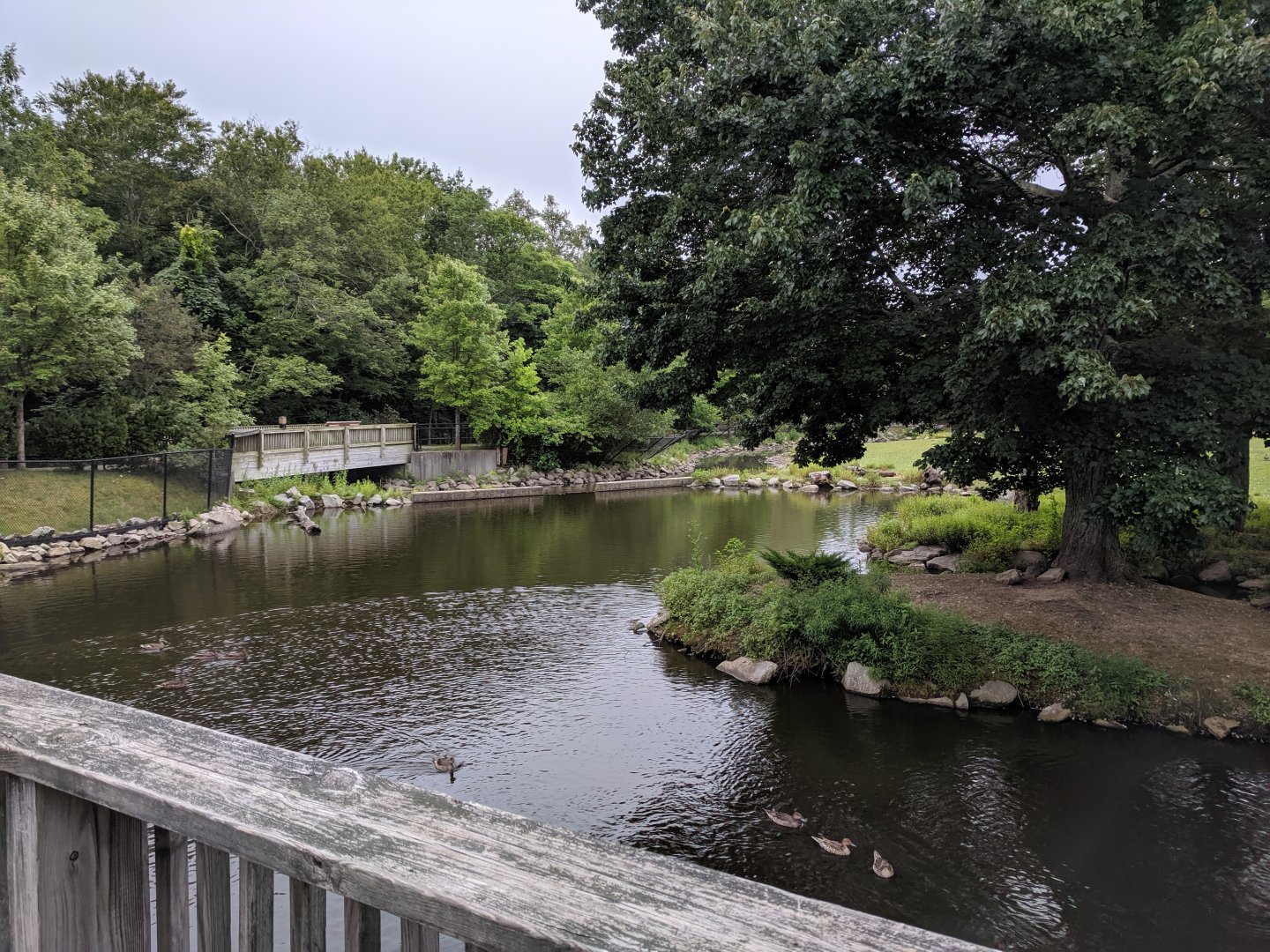 Bison/Waterfowl Exhibit