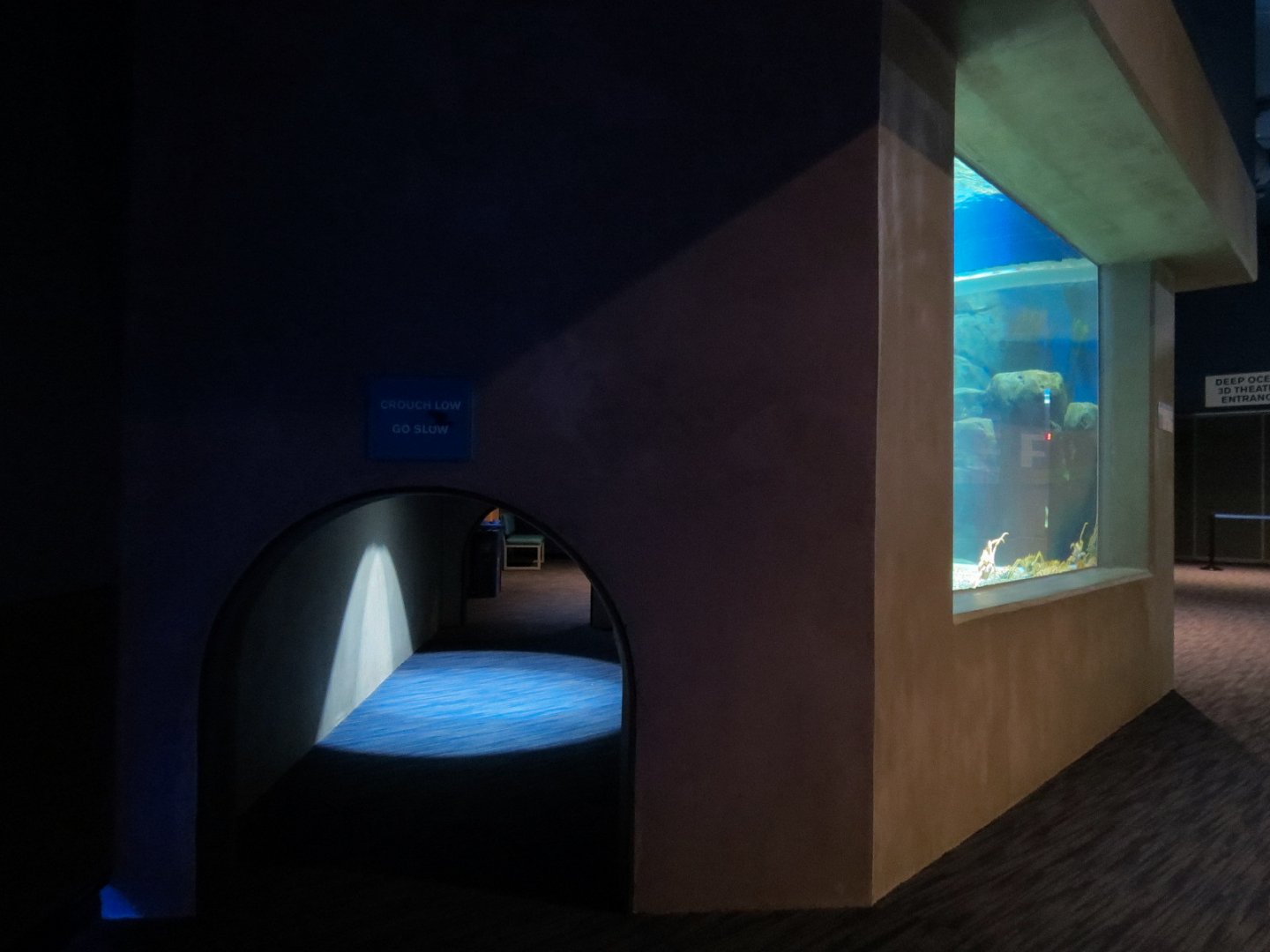 Bizarre + Beautiful - California King Crab Exhibit - Crawl Tunnel