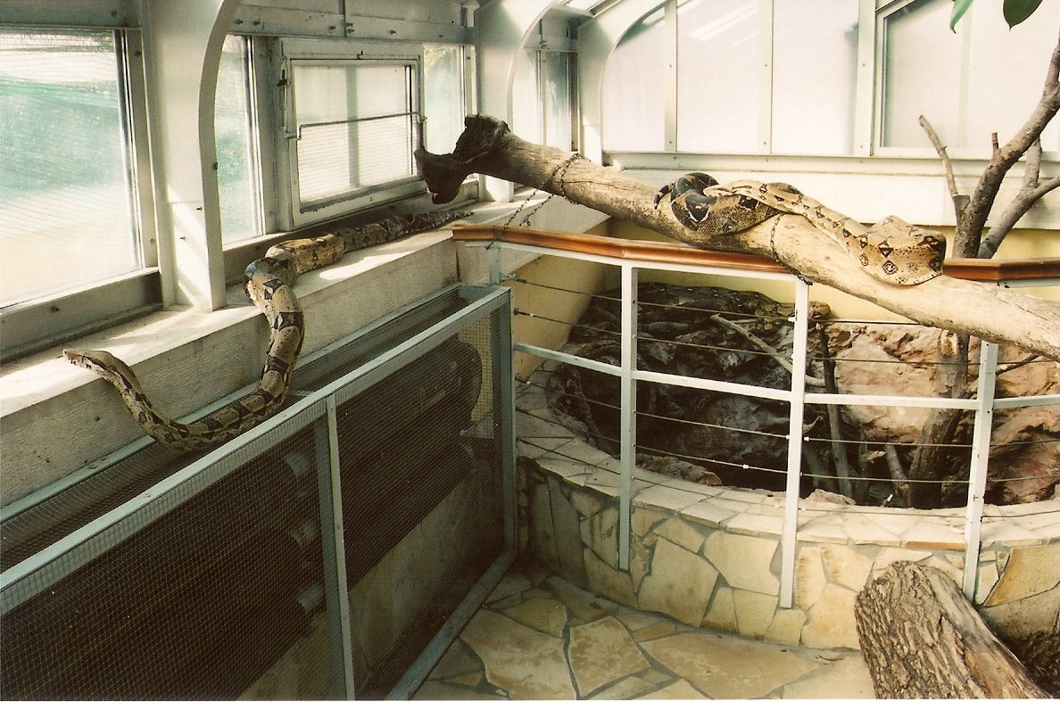 Bizarre Boa Walkthrough at Budapest 08/09/2003