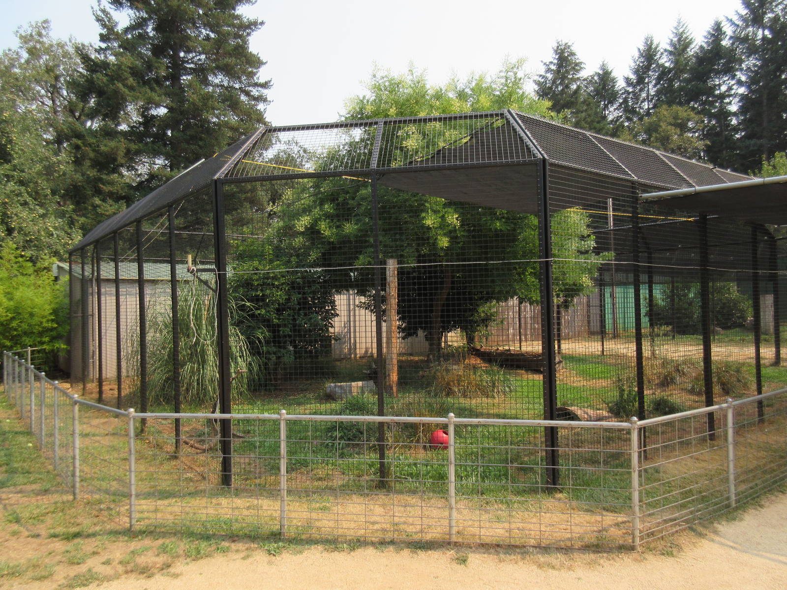 Black African Leopard Exhibit