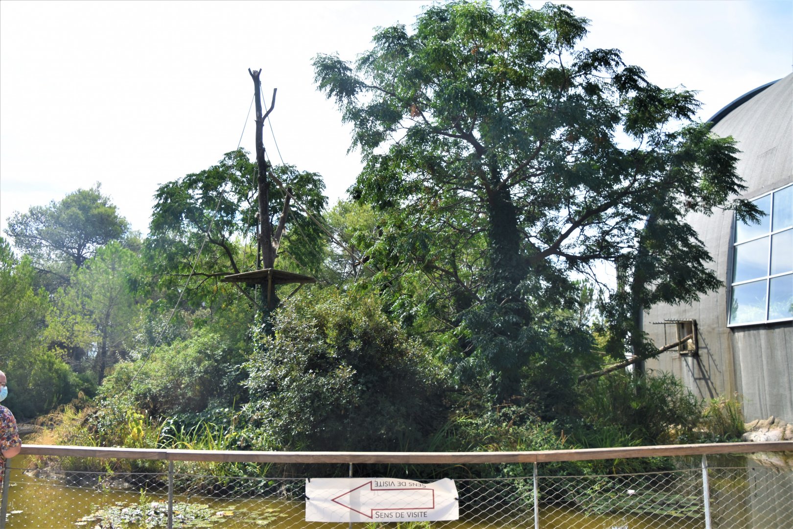 Black and Gold howler monkey and Emperor tamarin outdoor enclosure