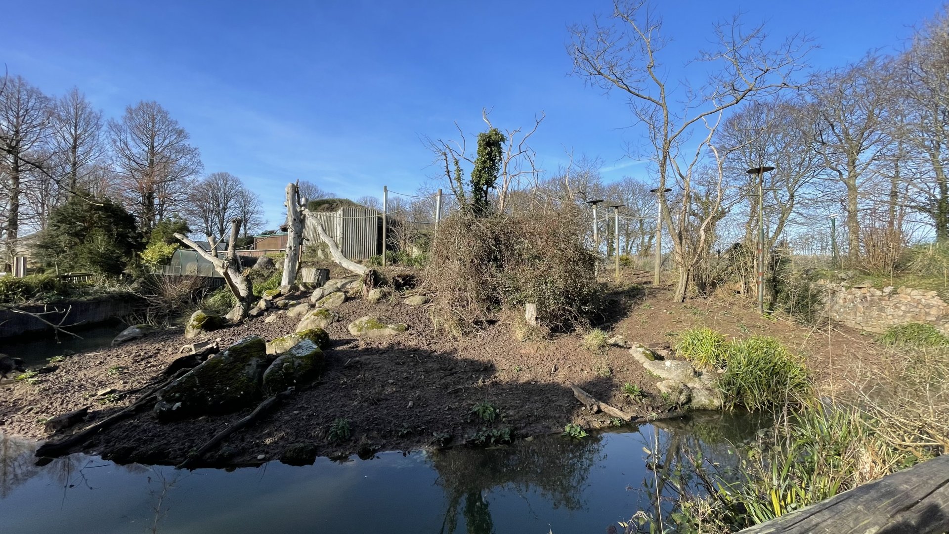 Black and gold howler monkey and Visayan warty pig exhibit