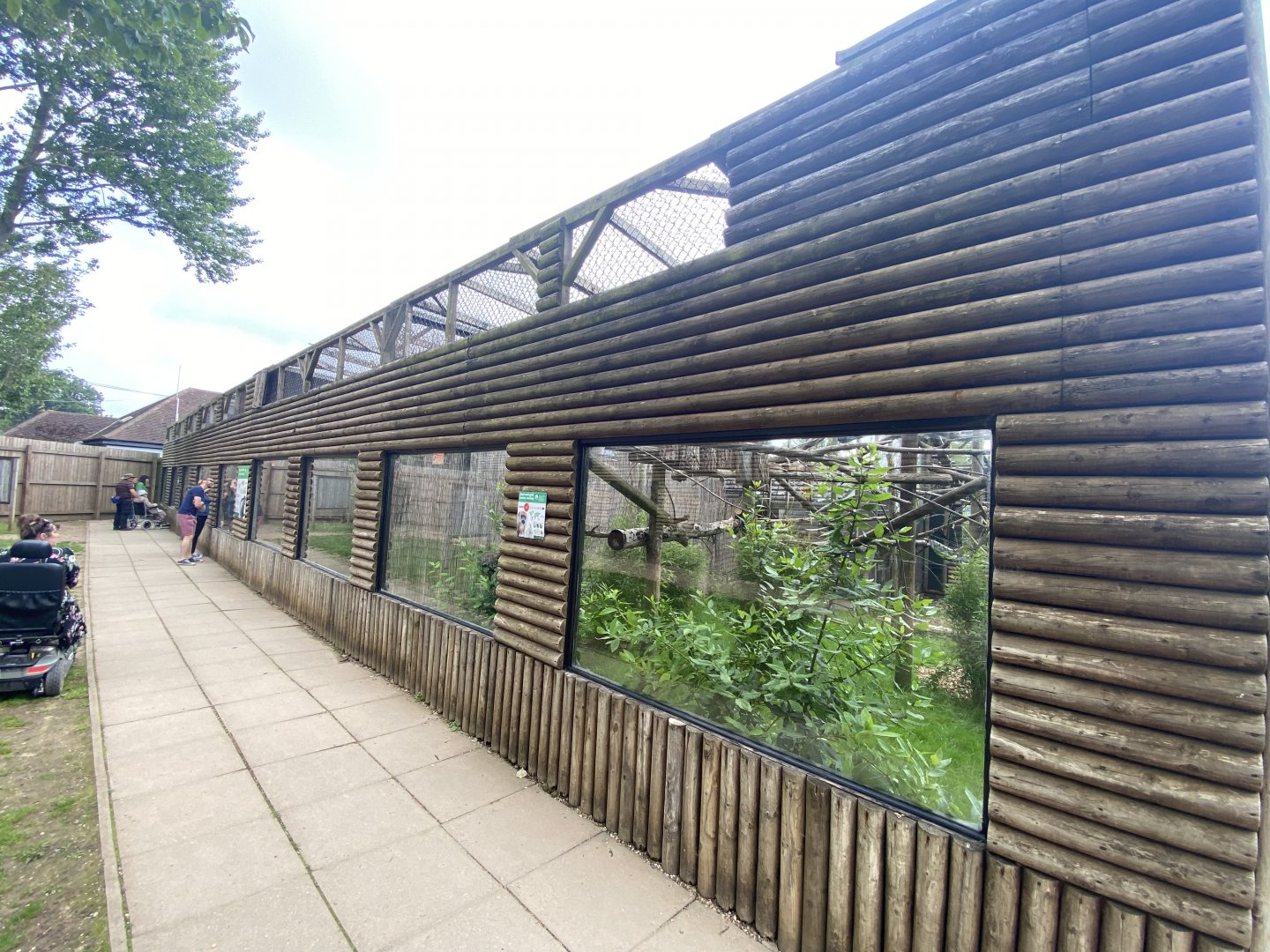 Black and gold howler monkey enclosure 020721