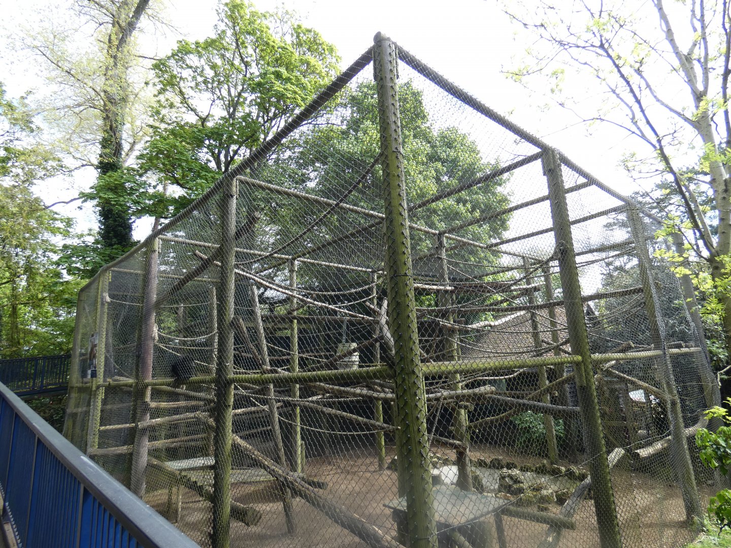 Black-and-gold howler monkey enclosure by entrance