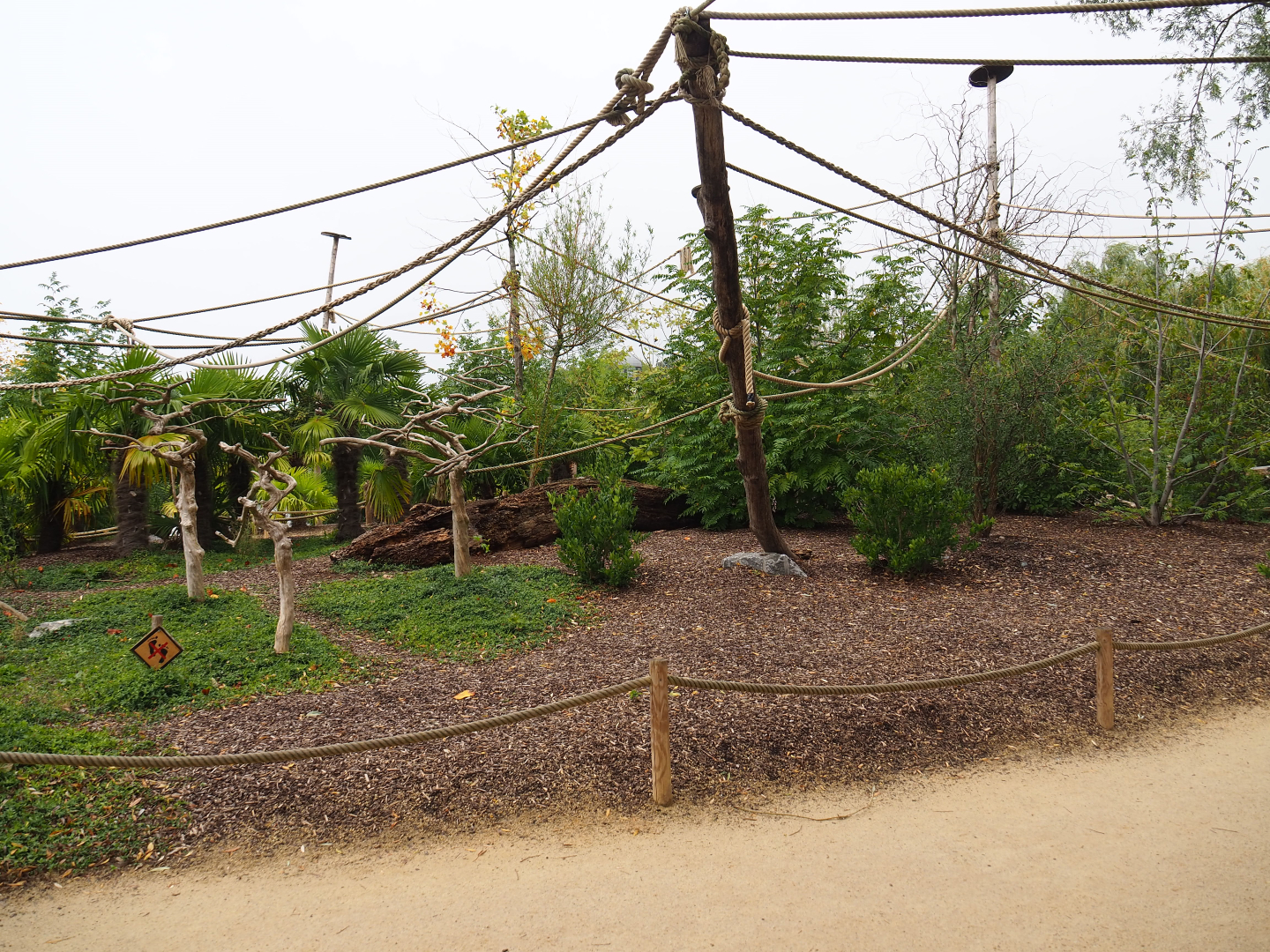 Black-and-gold howler monkey walk-through island, 2019-10-04