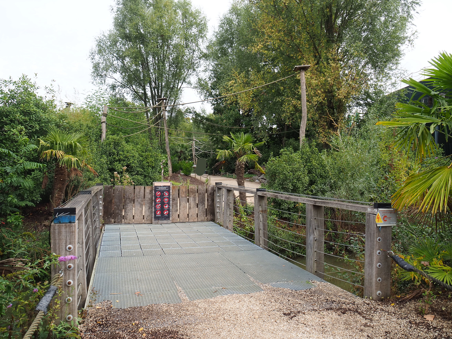 Black-and-gold howler monkey walk-through island, 2022-09-15