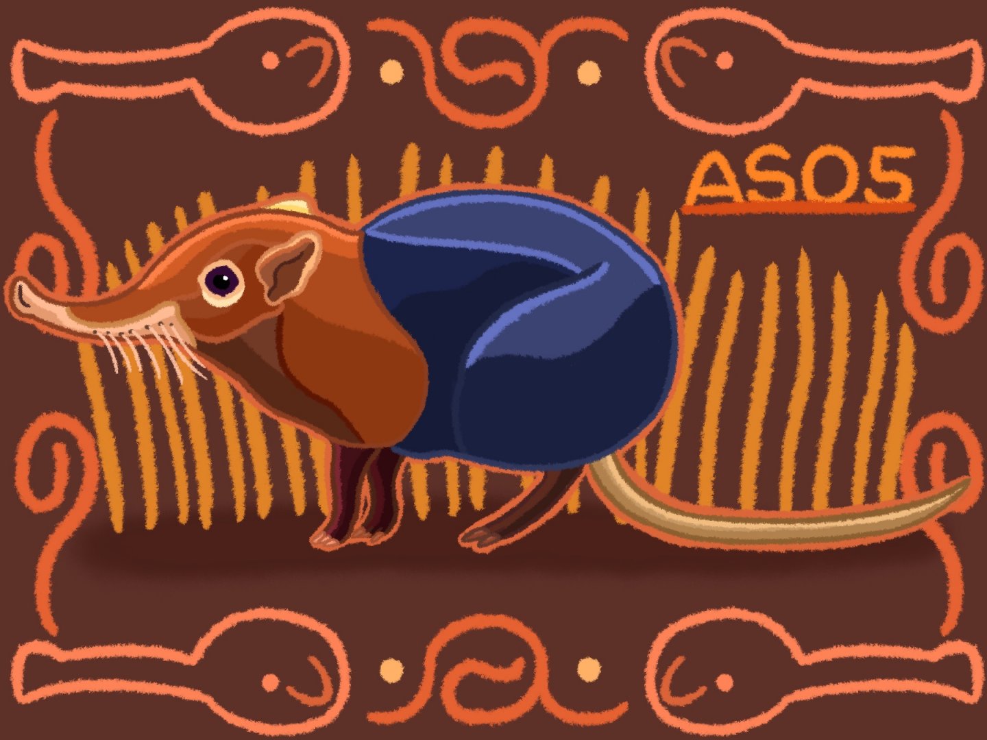 Black and Rufous Sengi