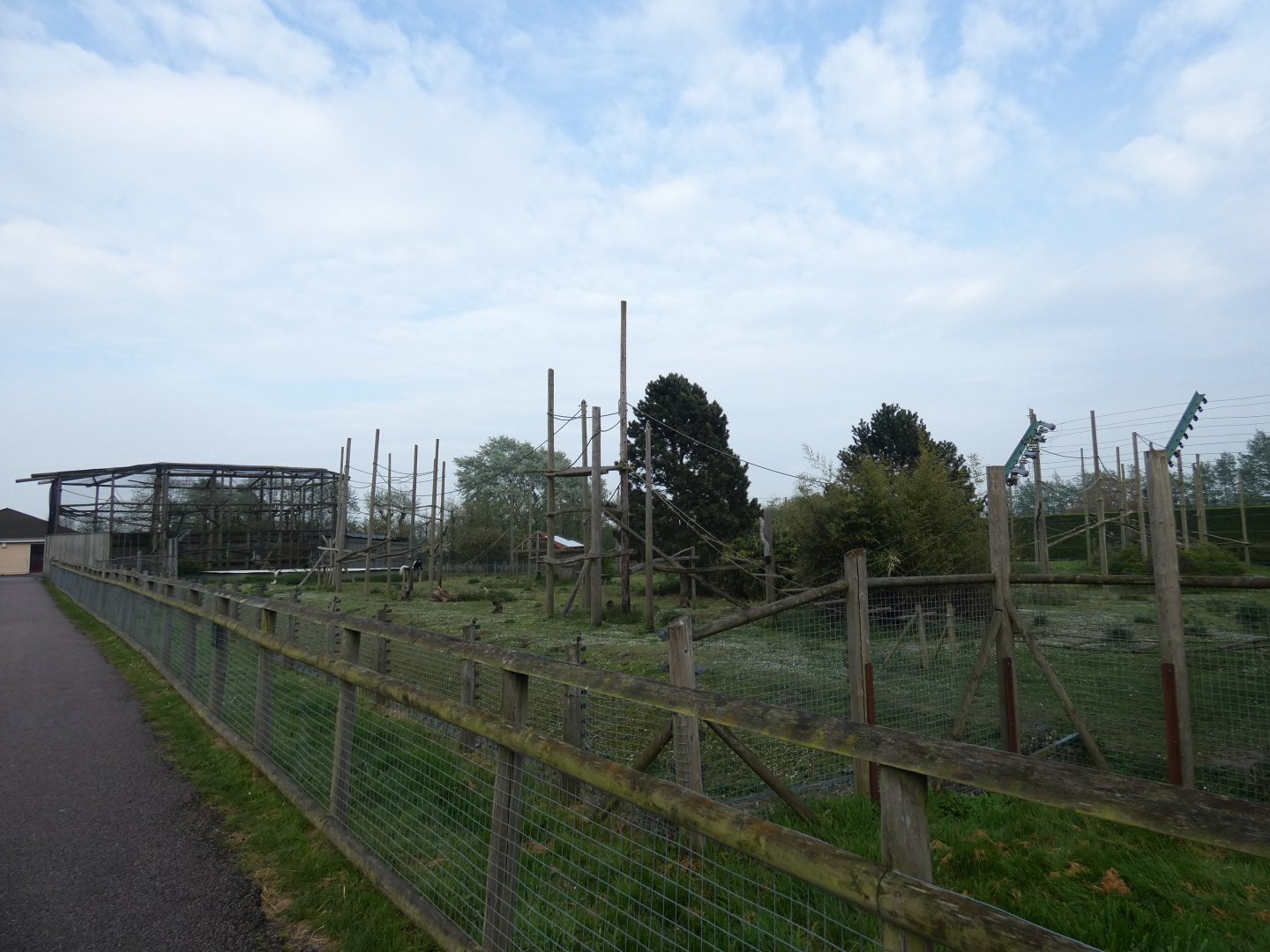 Black-and-white colobus and Gelada enclosure