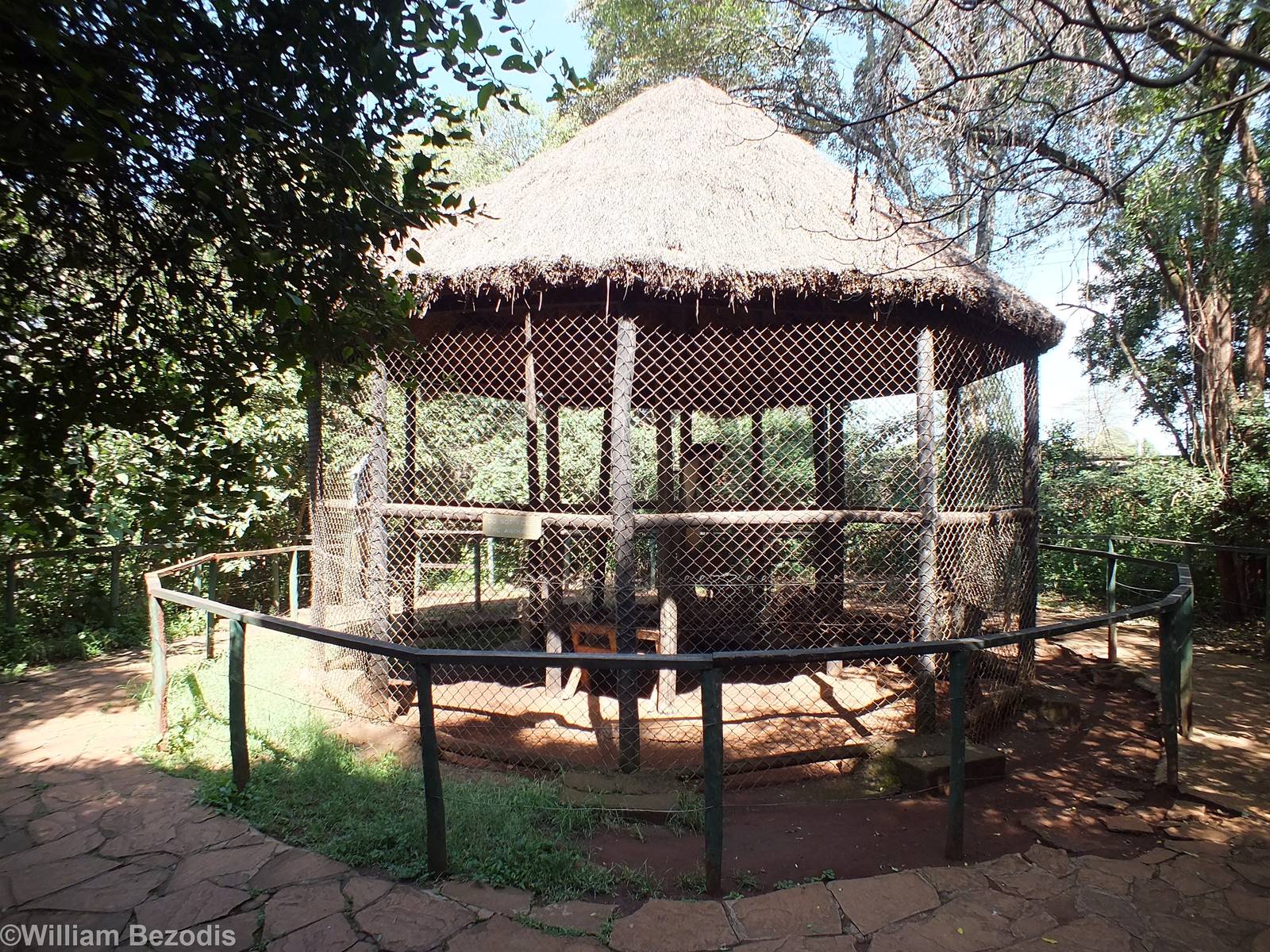 Black and White Colobus Enclosure - Nairobi Safari Walk