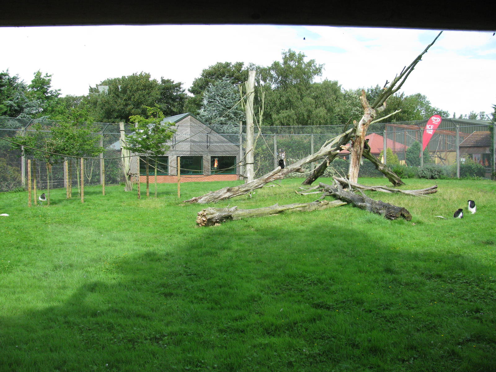 Black and White Colobus enclosure