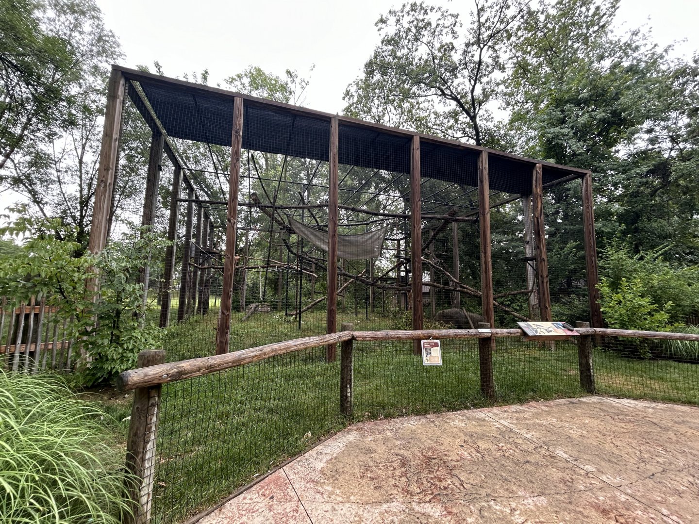Black-and-White Colobus Exhibit - African Journey