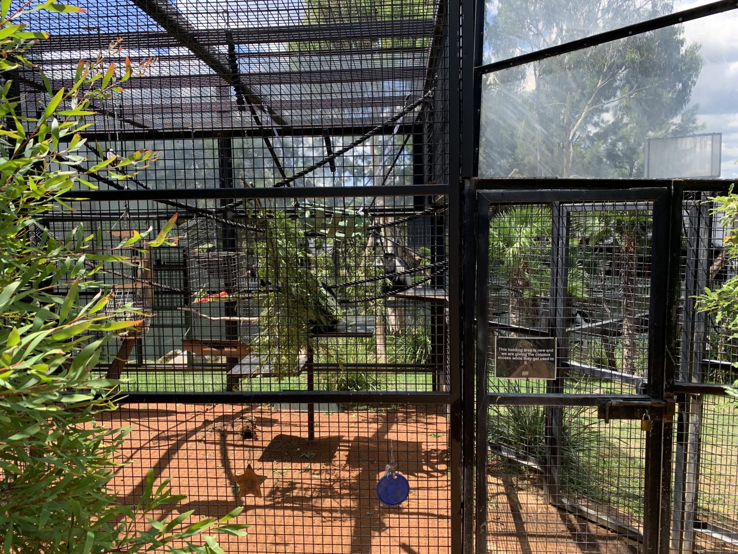 Black-and-white Colobus Holding Area