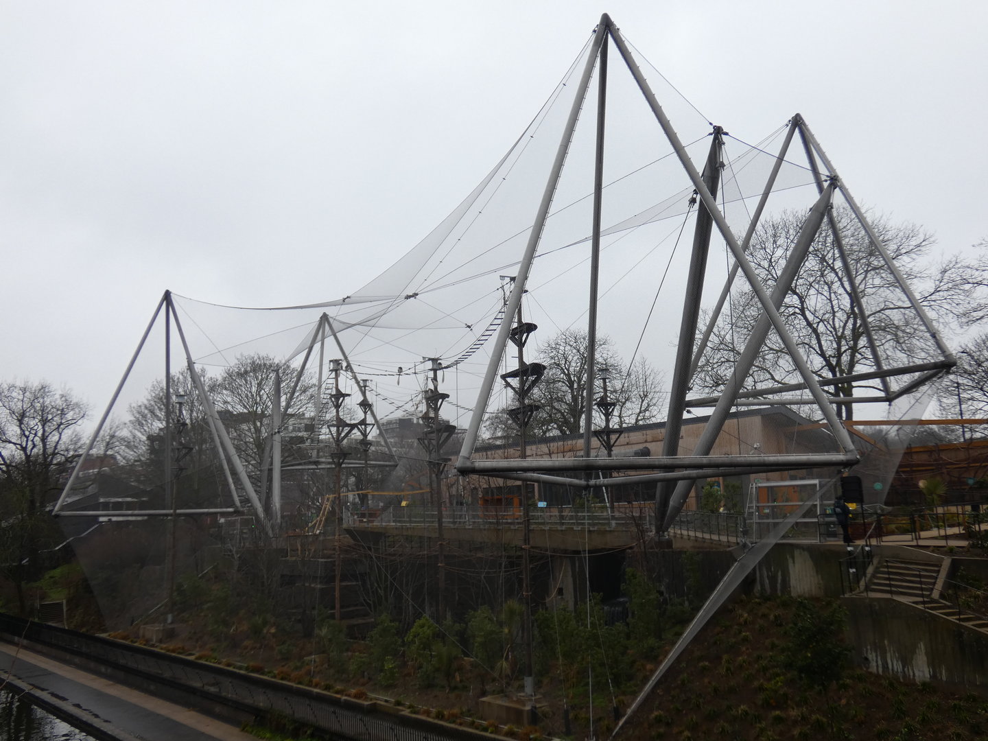 Black-and-white colobus in the Snowdon aviary