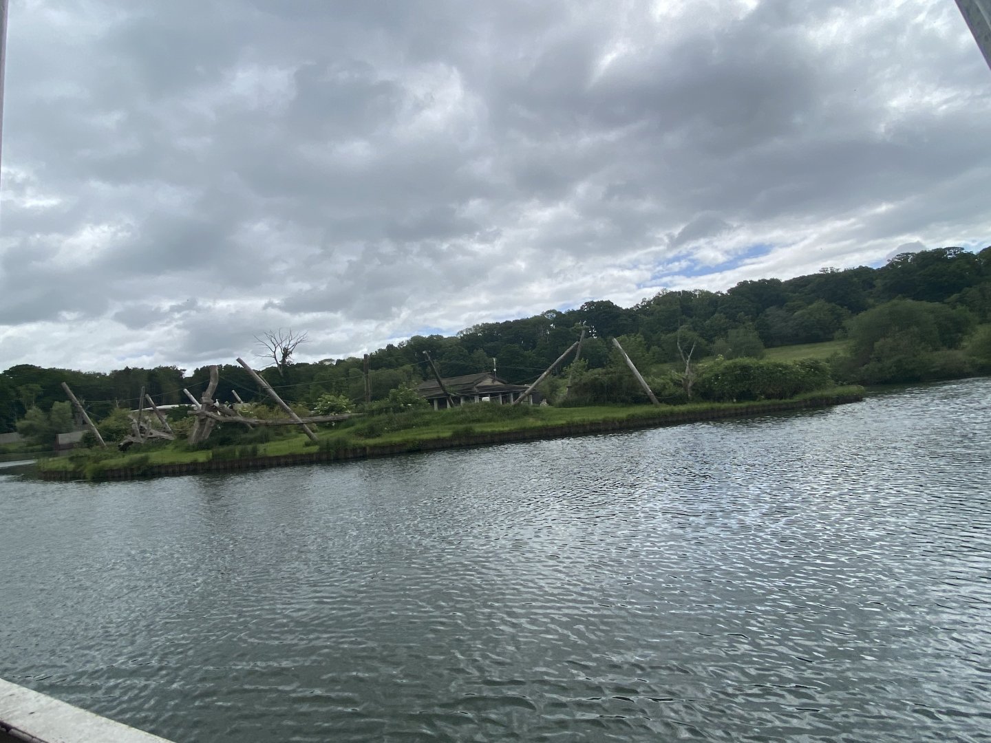 Black and white colobus island