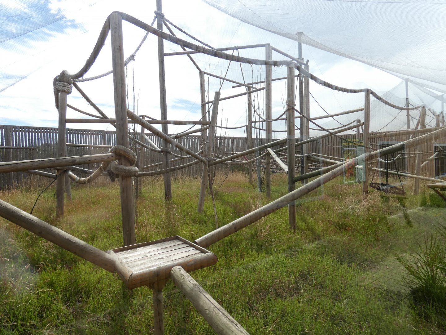Black-and-white Colobus Monkey enclosure