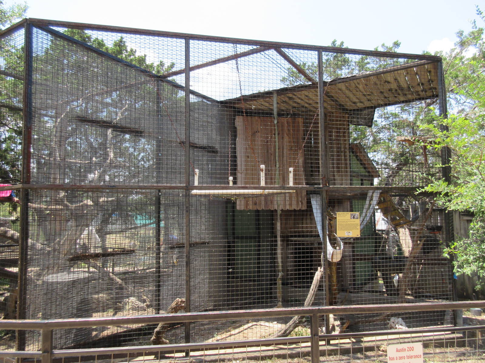 Black-and-White Colobus Monkey Exhibit #1