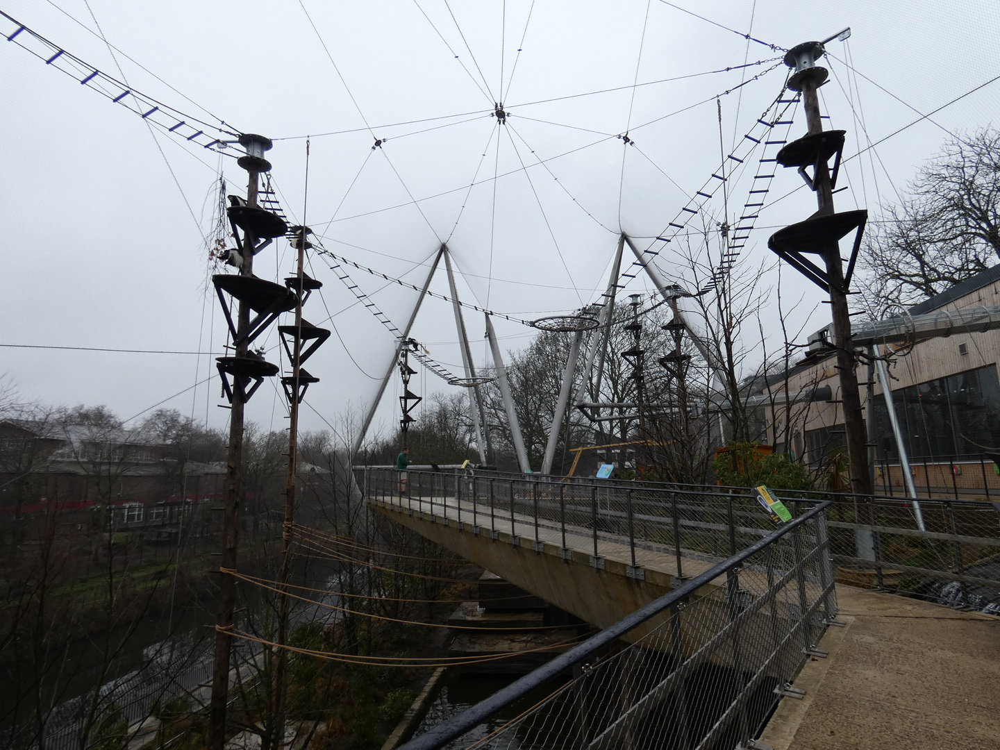 Black-and-white colobus walk-through enclosure