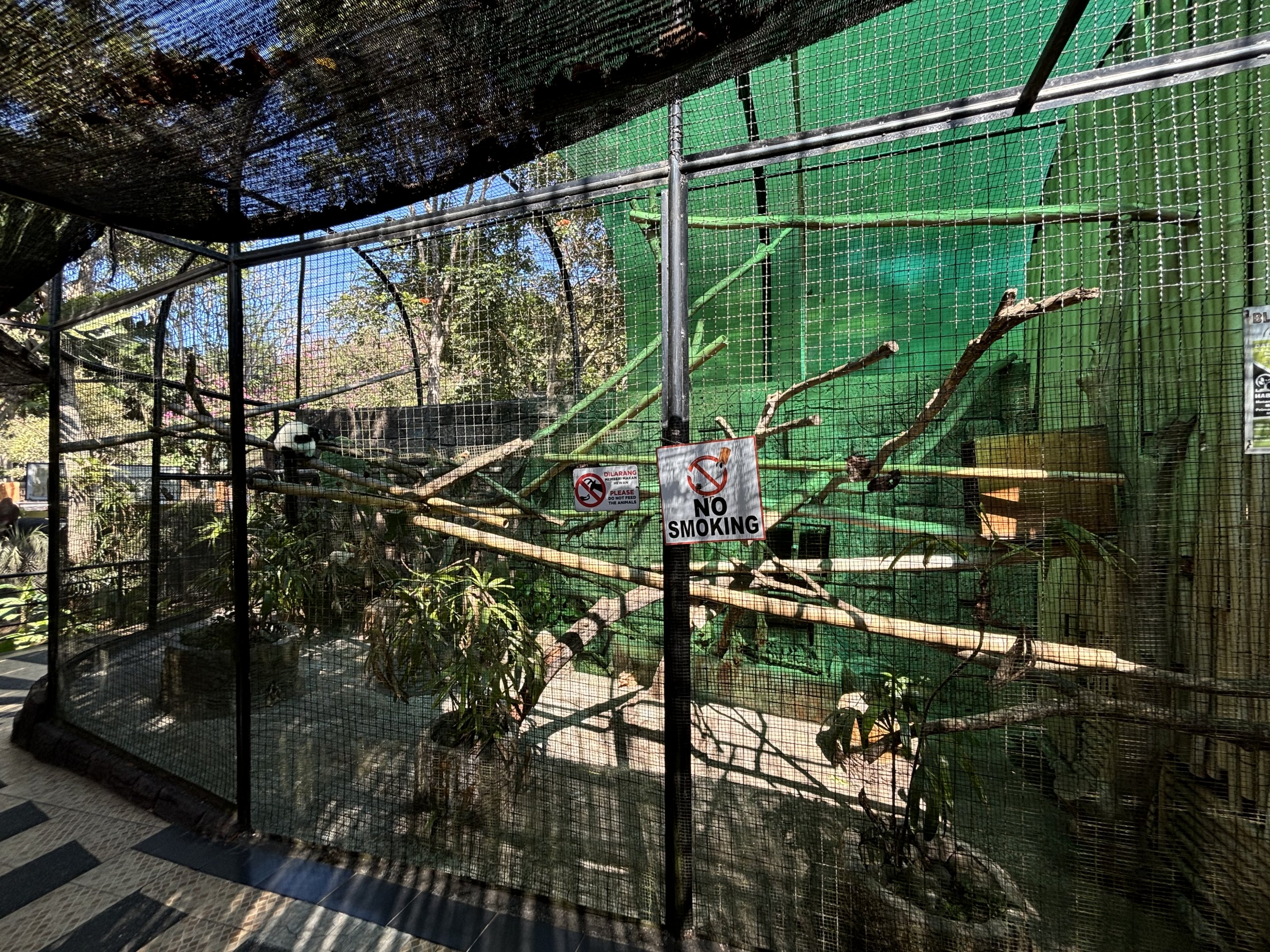 Black-and-white Lemur Exhibit